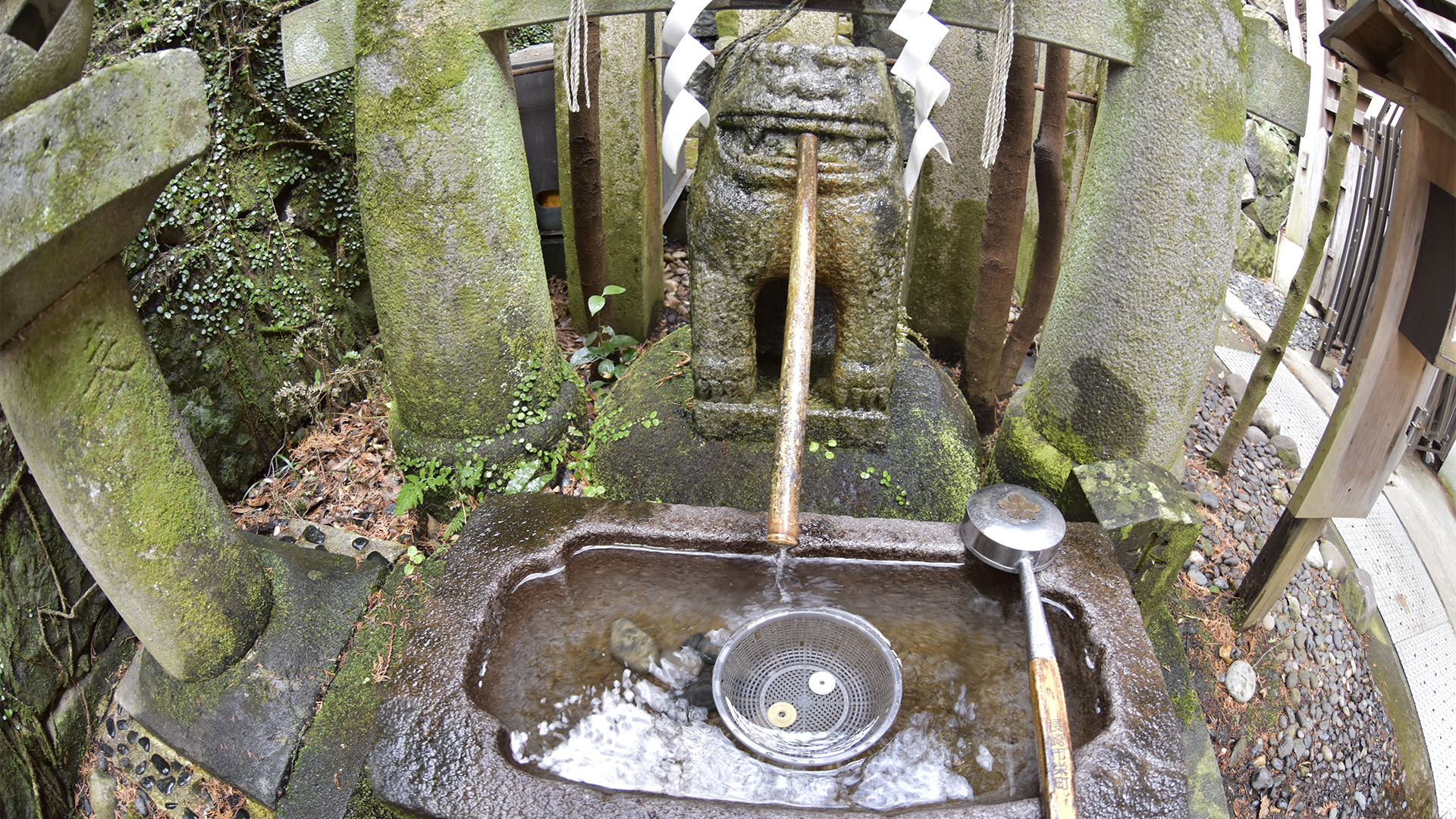 キテレツ面白い狛犬＠長崎鎮西諏訪神社