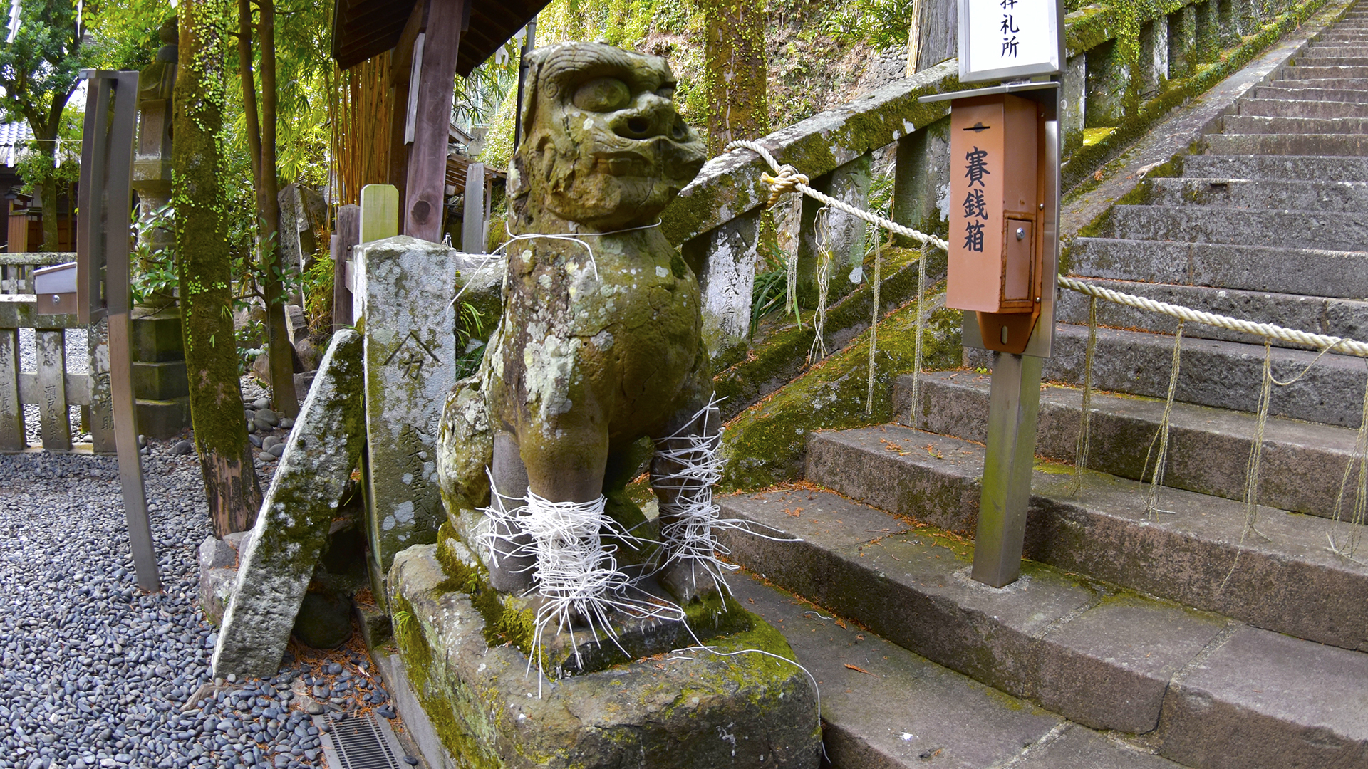 キテレツ面白い狛犬＠長崎鎮西諏訪神社