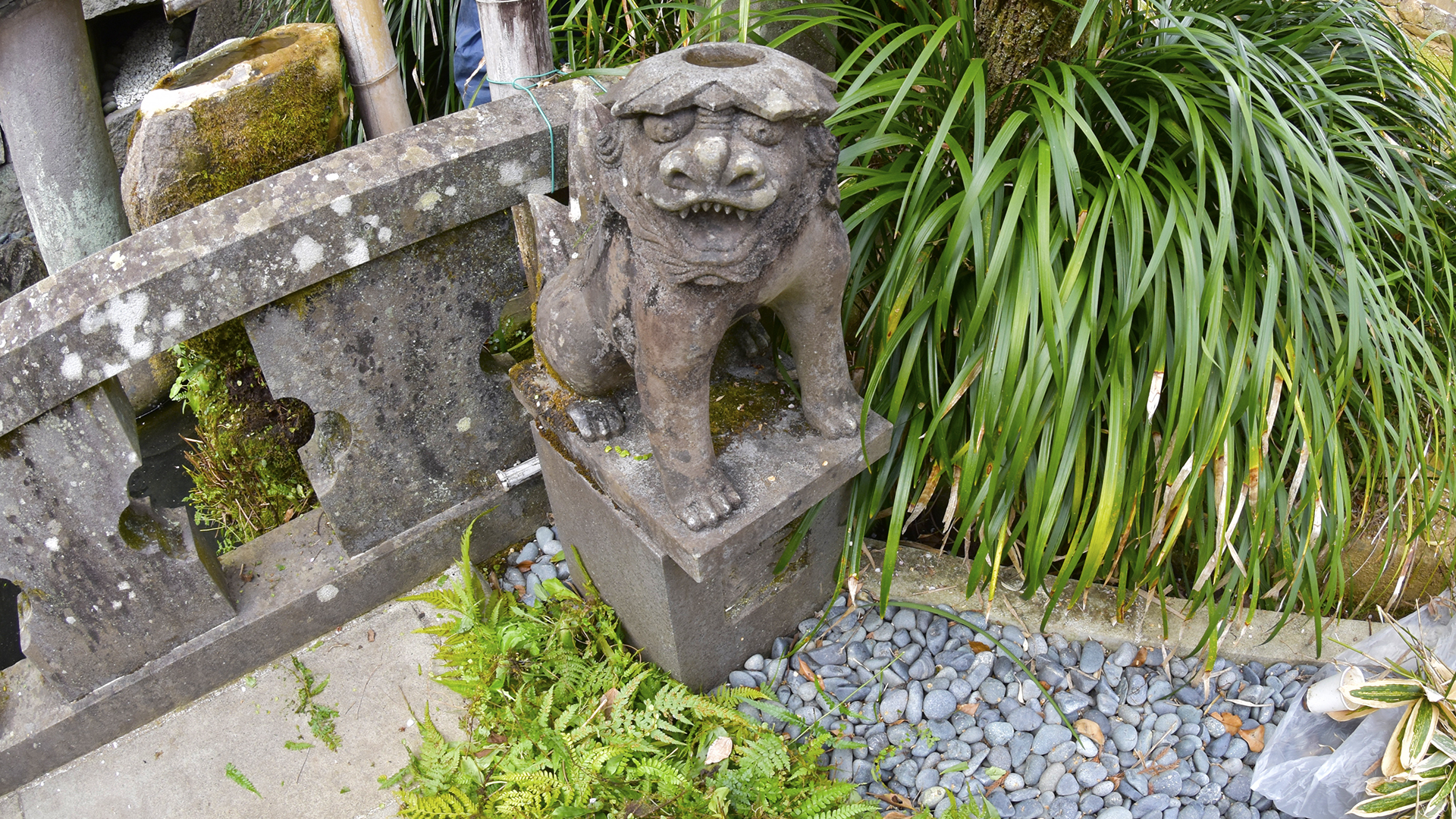 キテレツ面白い狛犬＠長崎鎮西諏訪神社