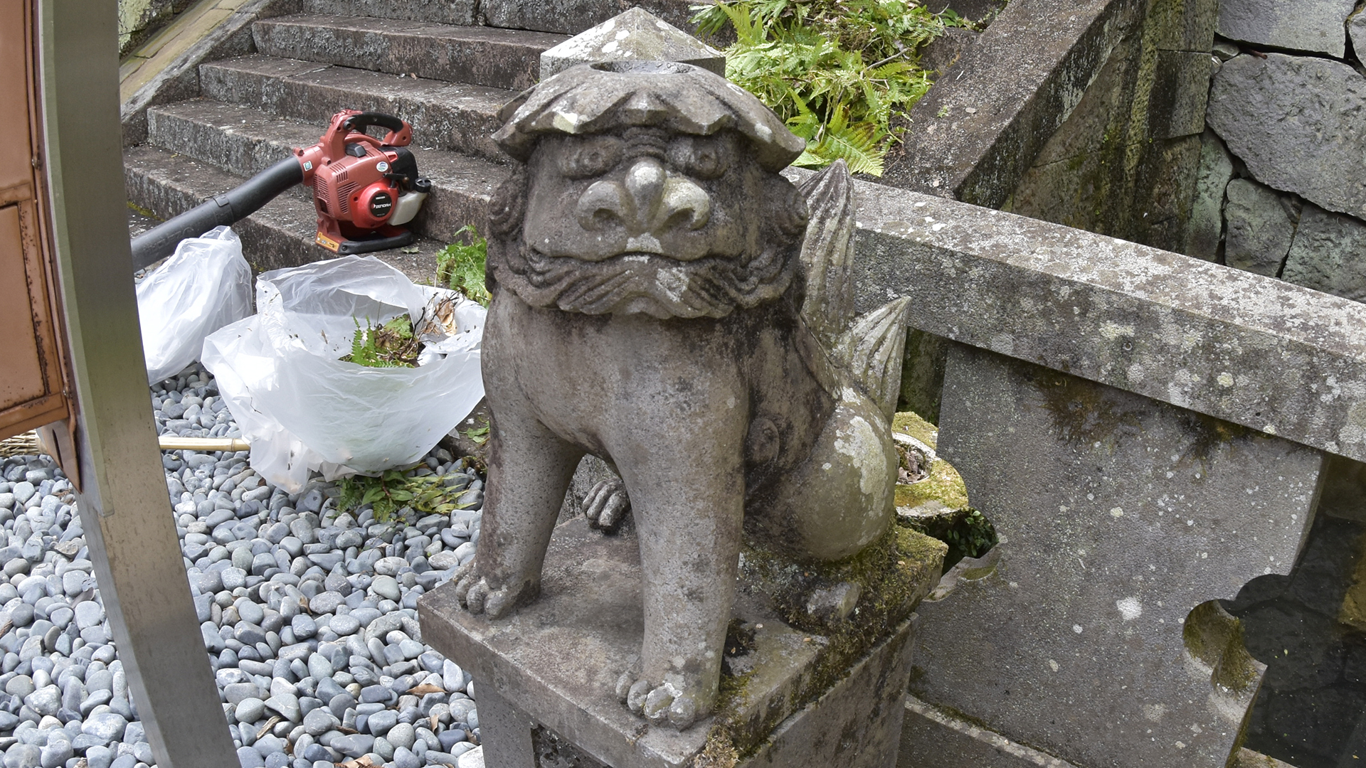 キテレツ面白い狛犬＠長崎鎮西諏訪神社