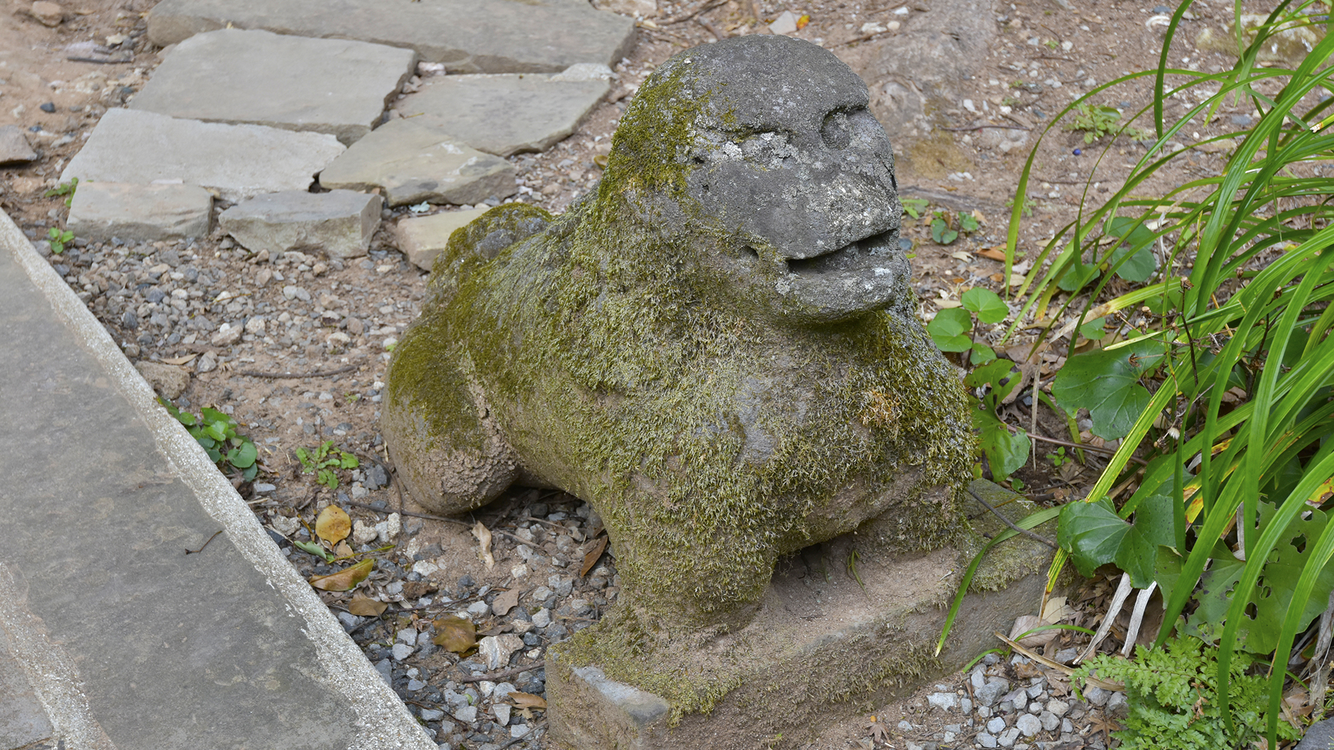 キテレツ面白い狛犬＠長崎鎮西諏訪神社