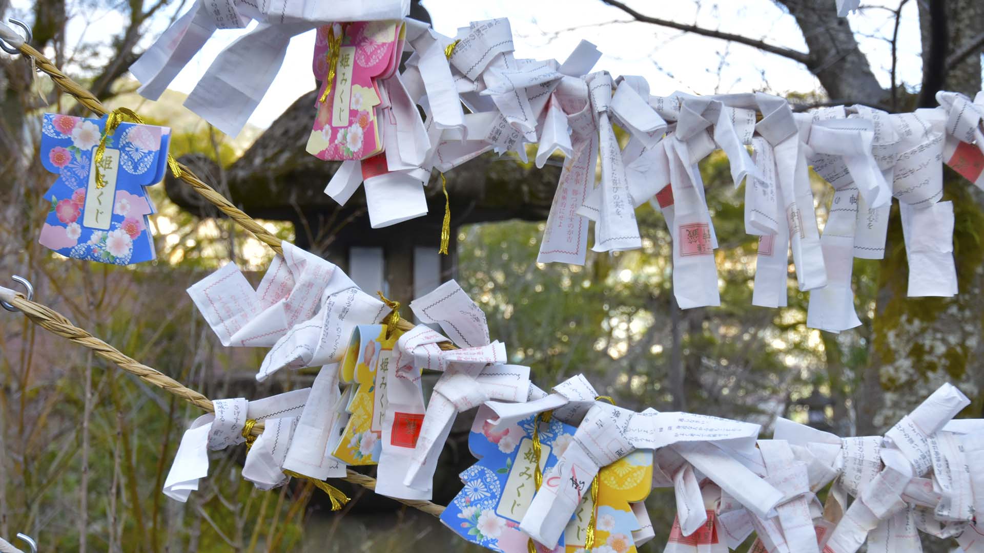 福山雅治さんの聖地「宝珠幼稚園」