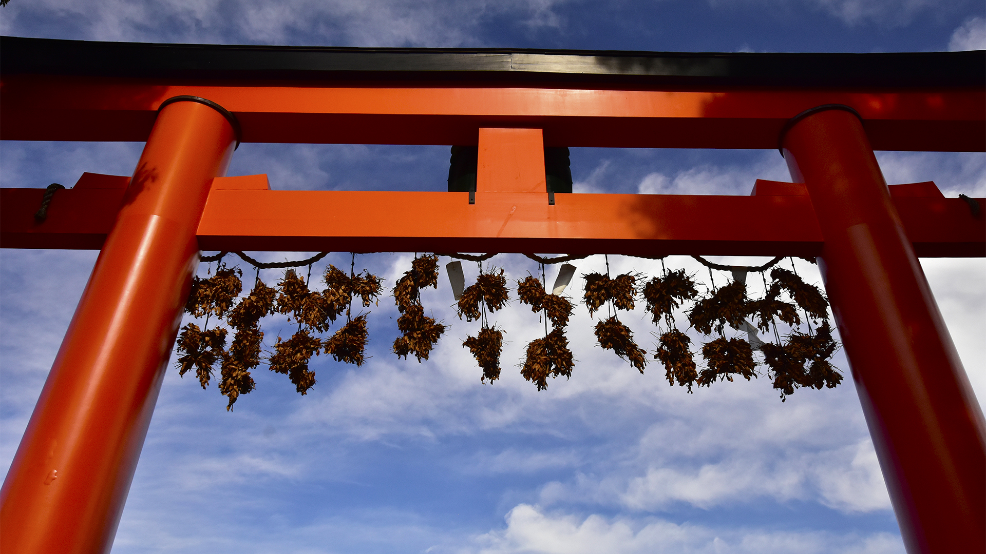 脇勧請と呼ばれる榊の小枝の束12本