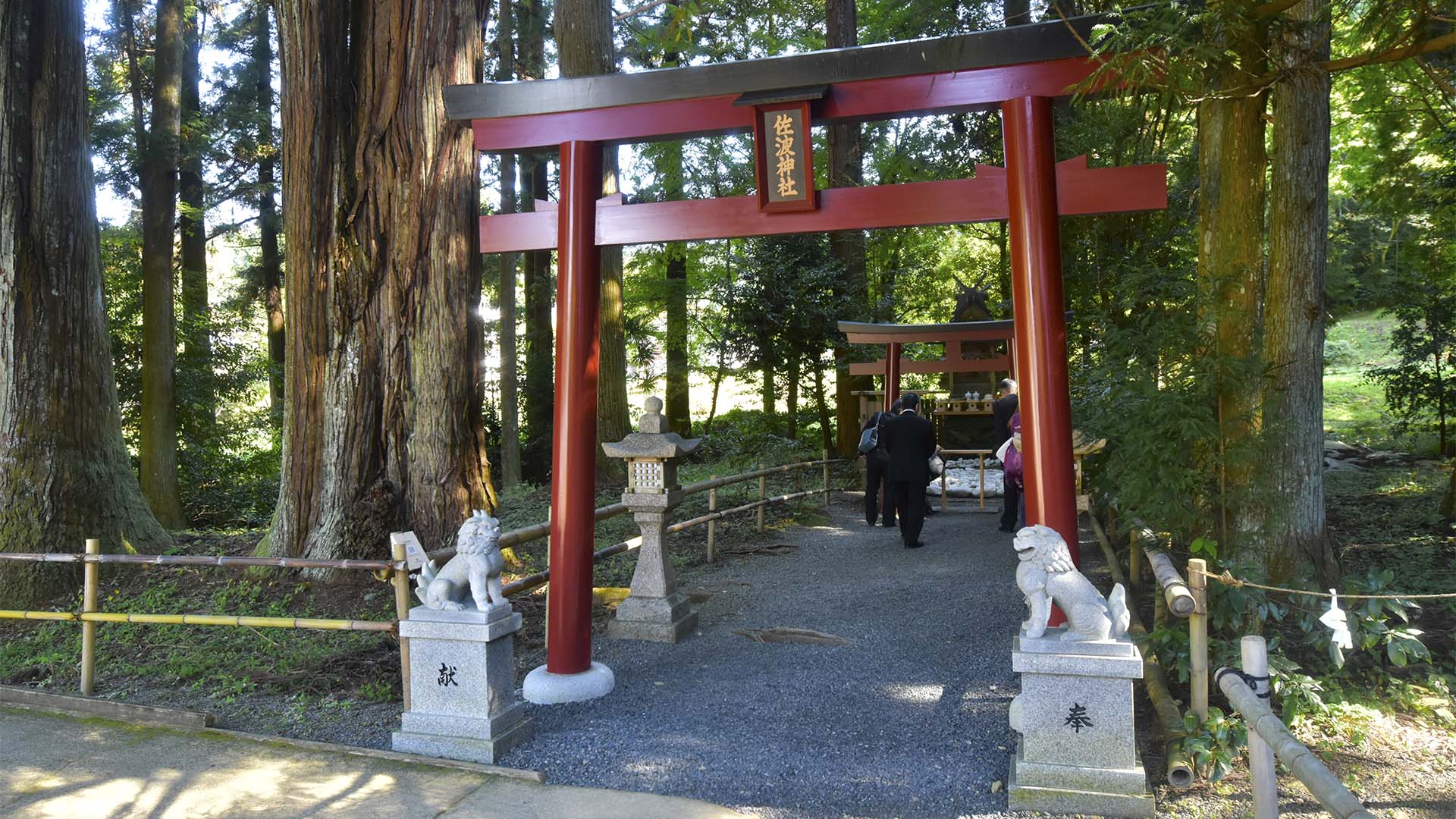 上天野地区の諸社を合わせてお祀りした佐波神社