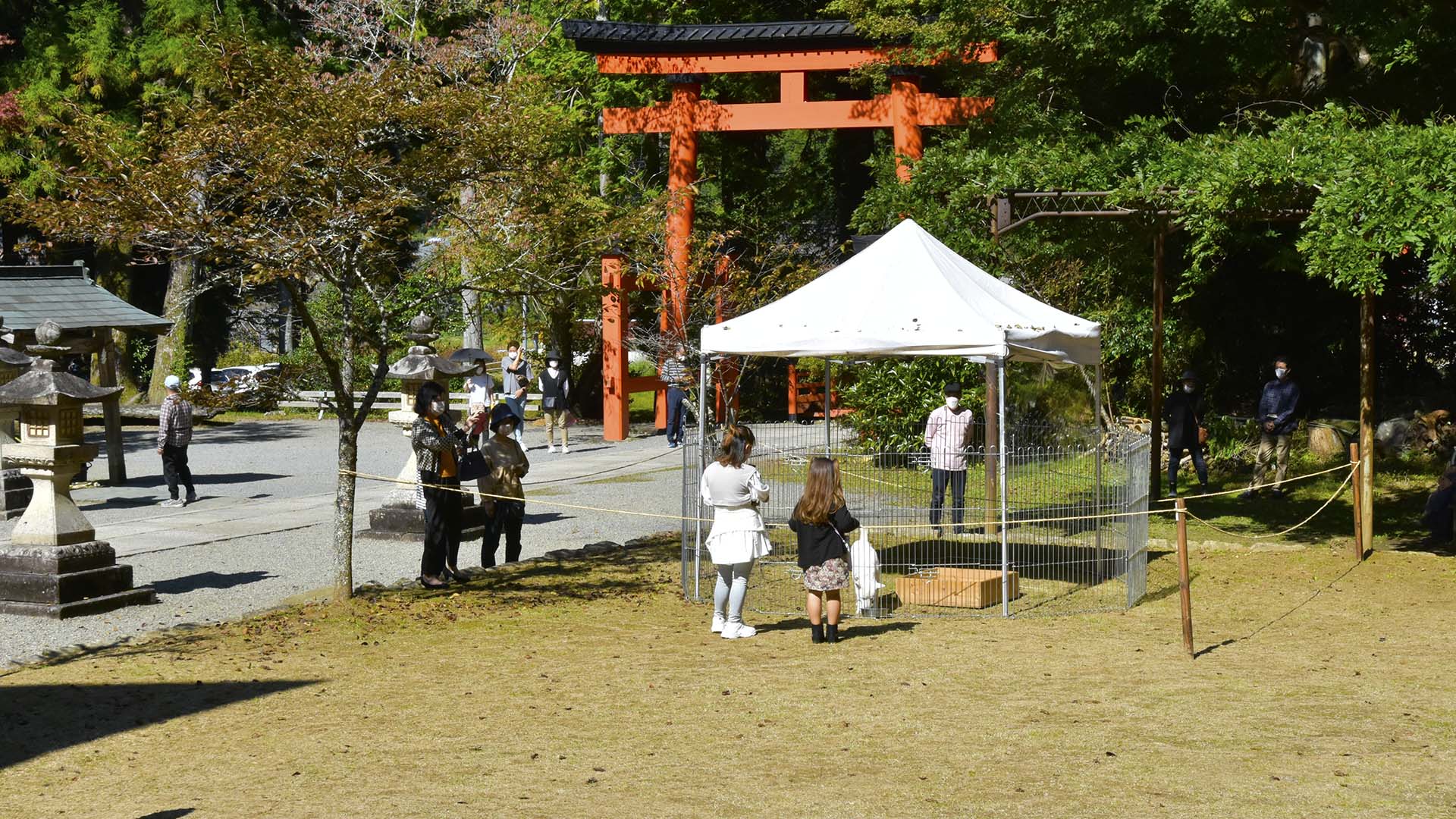 高野山を空海に授けた神の社・丹生都比賣神社@和歌山