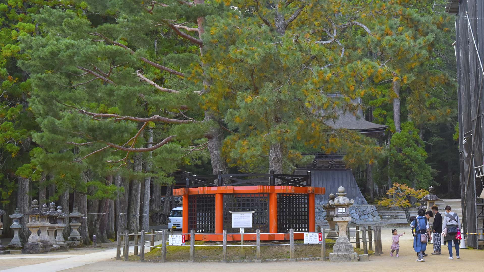 高野山三鈷の松