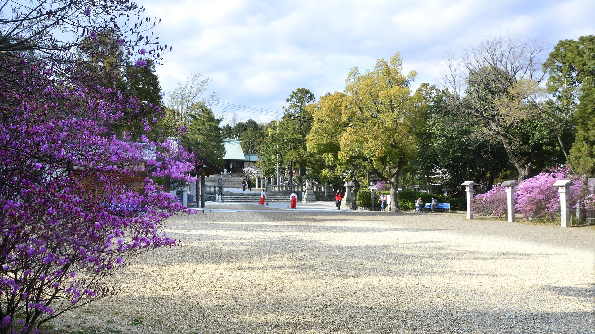 非常に強いパワーを持つとされる【荒御魂】をお祀りする廣田神社