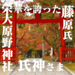 時代の流れ、京都大原野神社の紅葉