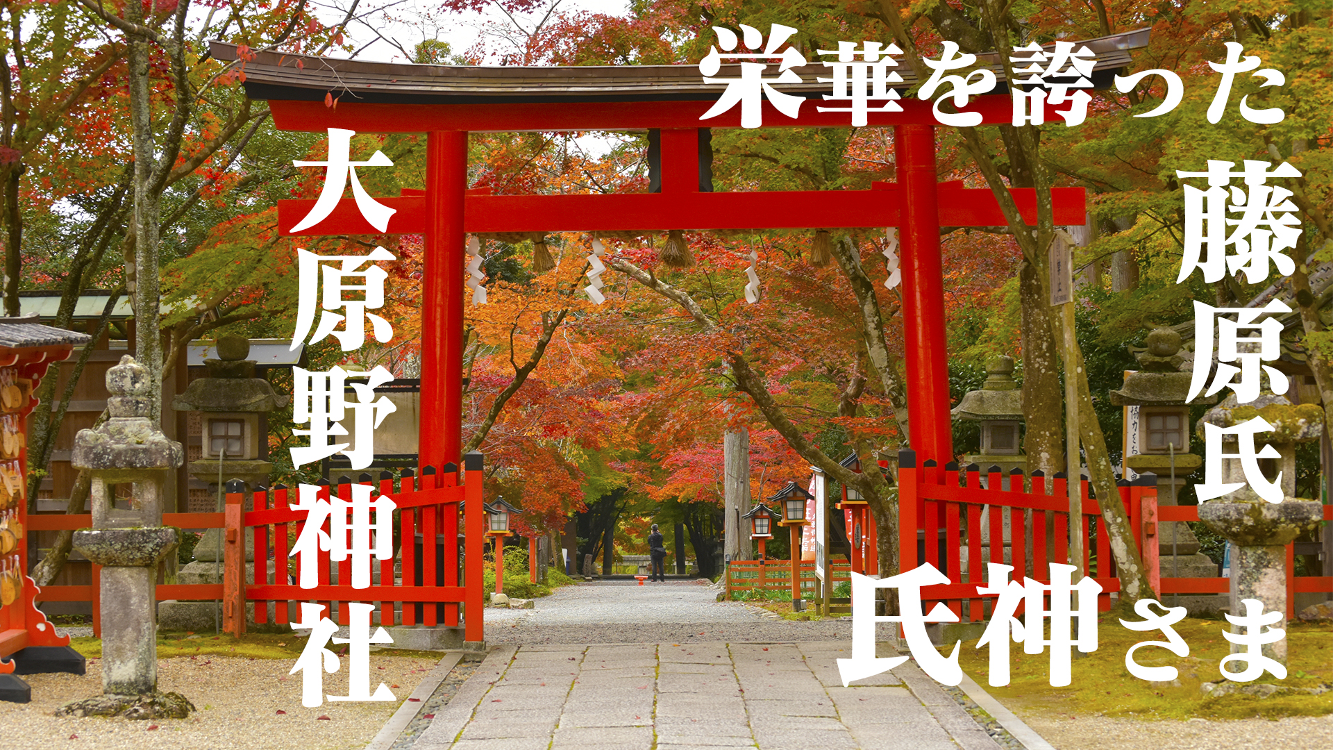 時代の流れ、京都大原野神社の紅葉