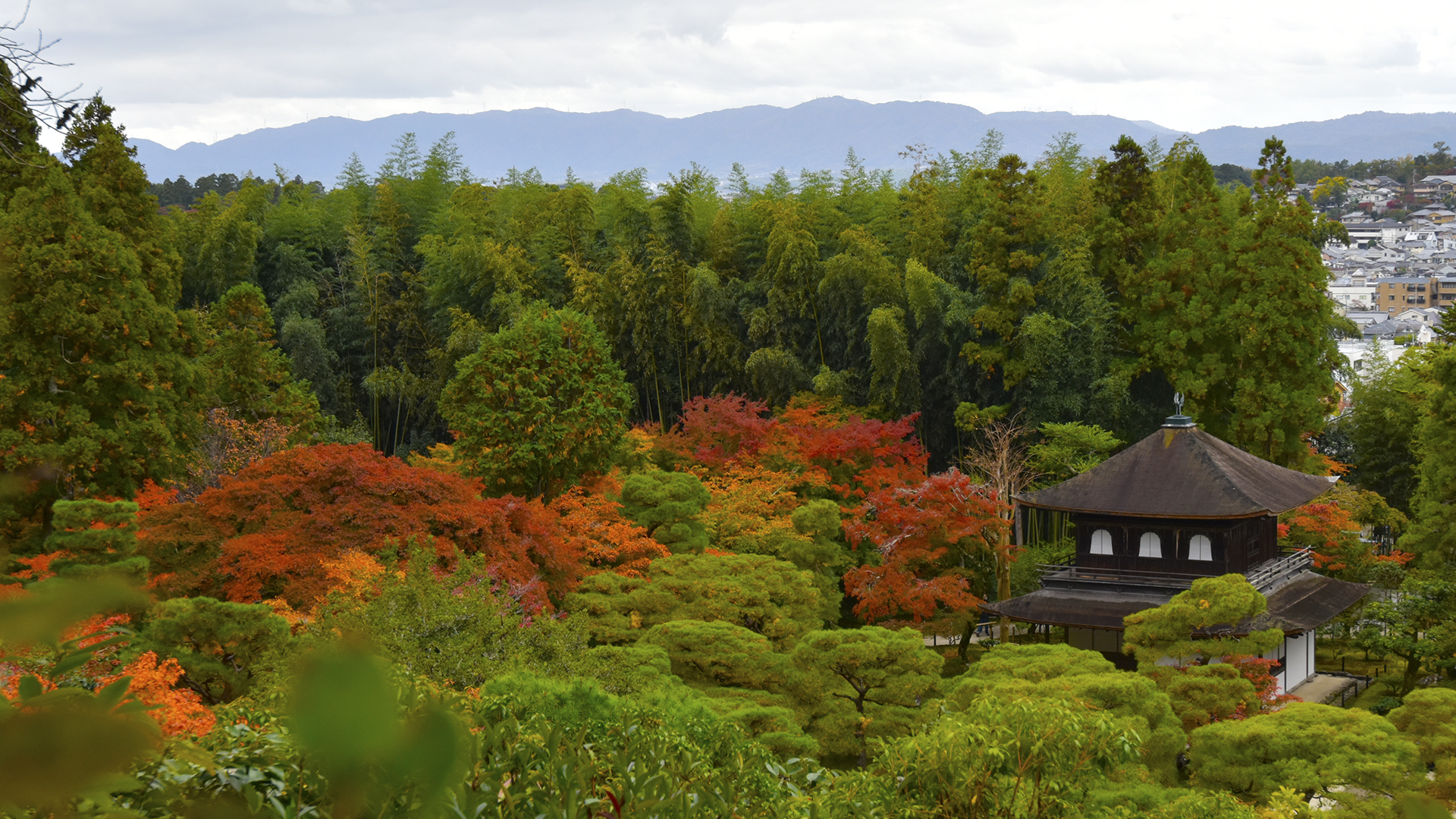 京都の紅葉といえば禅寺・東山慈照寺銀閣