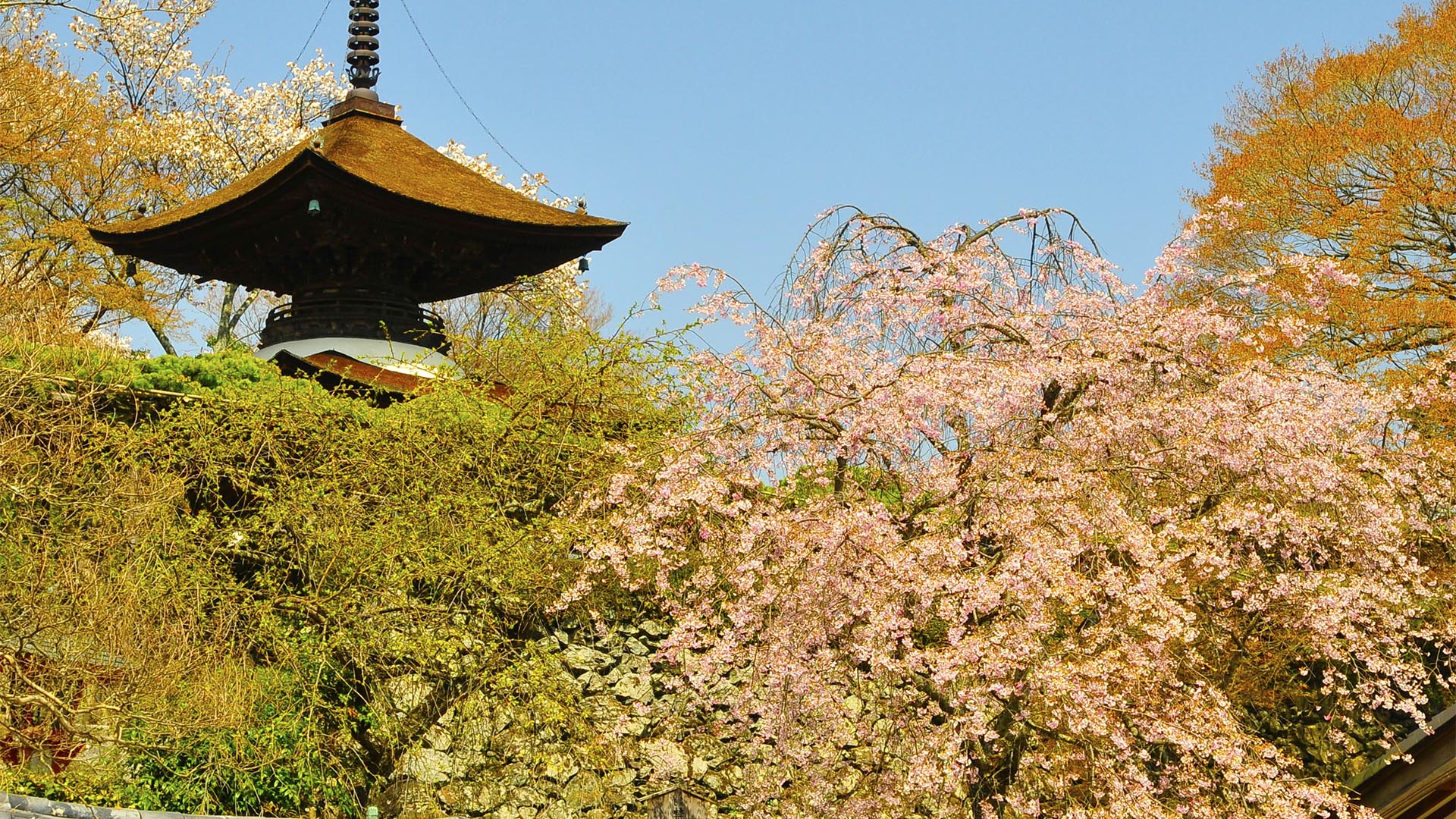 桜も紅葉も素晴らしい善峯寺＠京都西京・長岡京