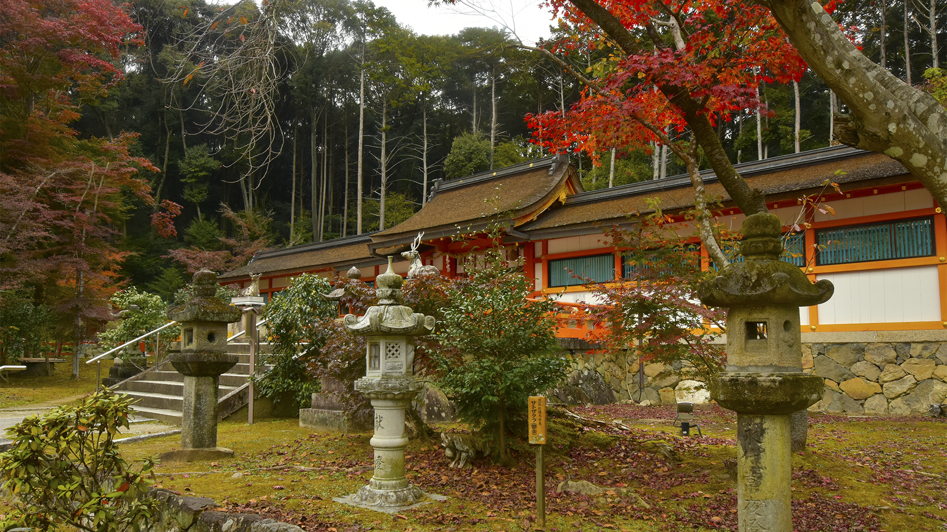 時代の流れ、京都大原野神社の紅葉