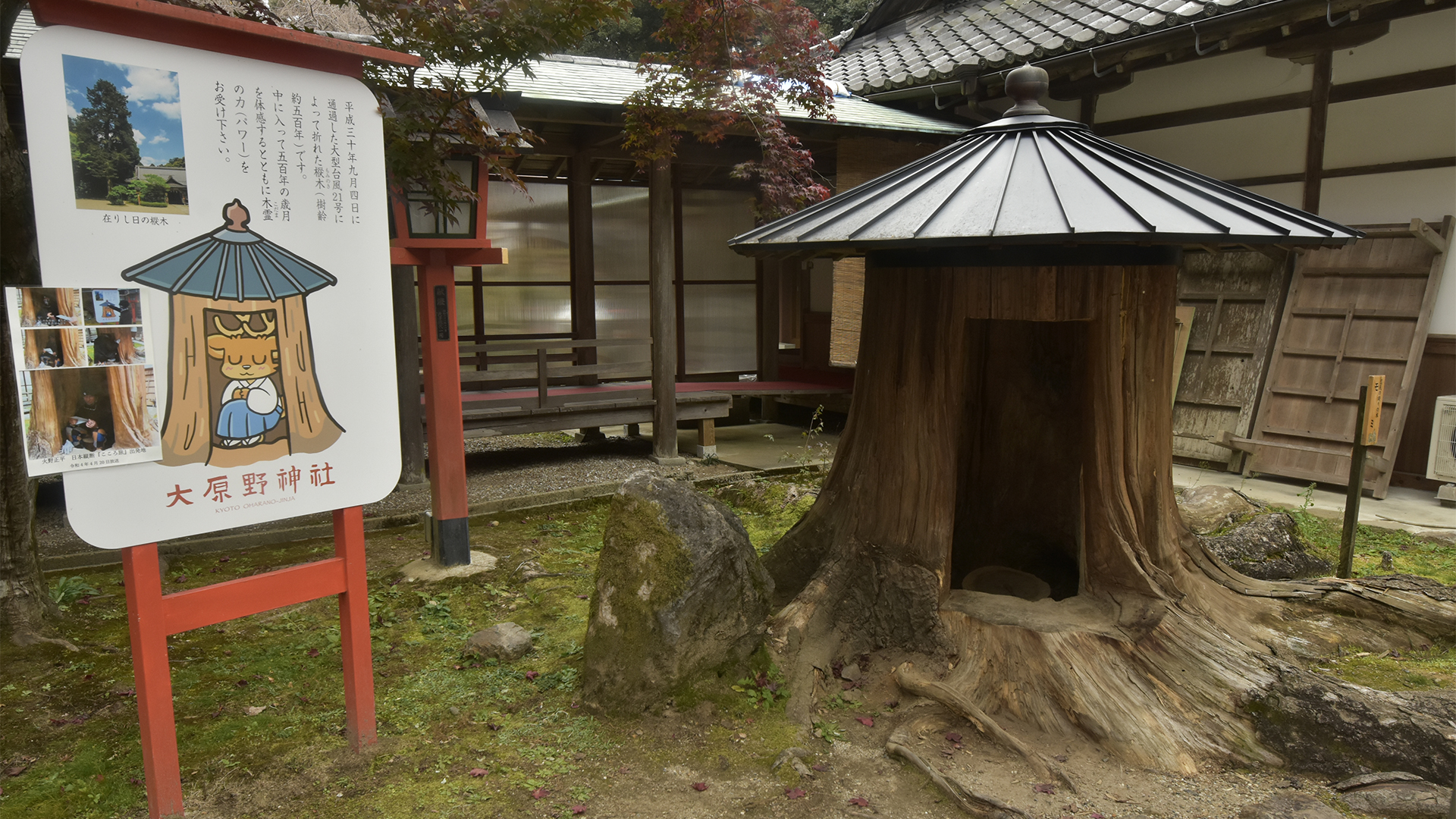 時代の流れ、京都大原野神社の紅葉