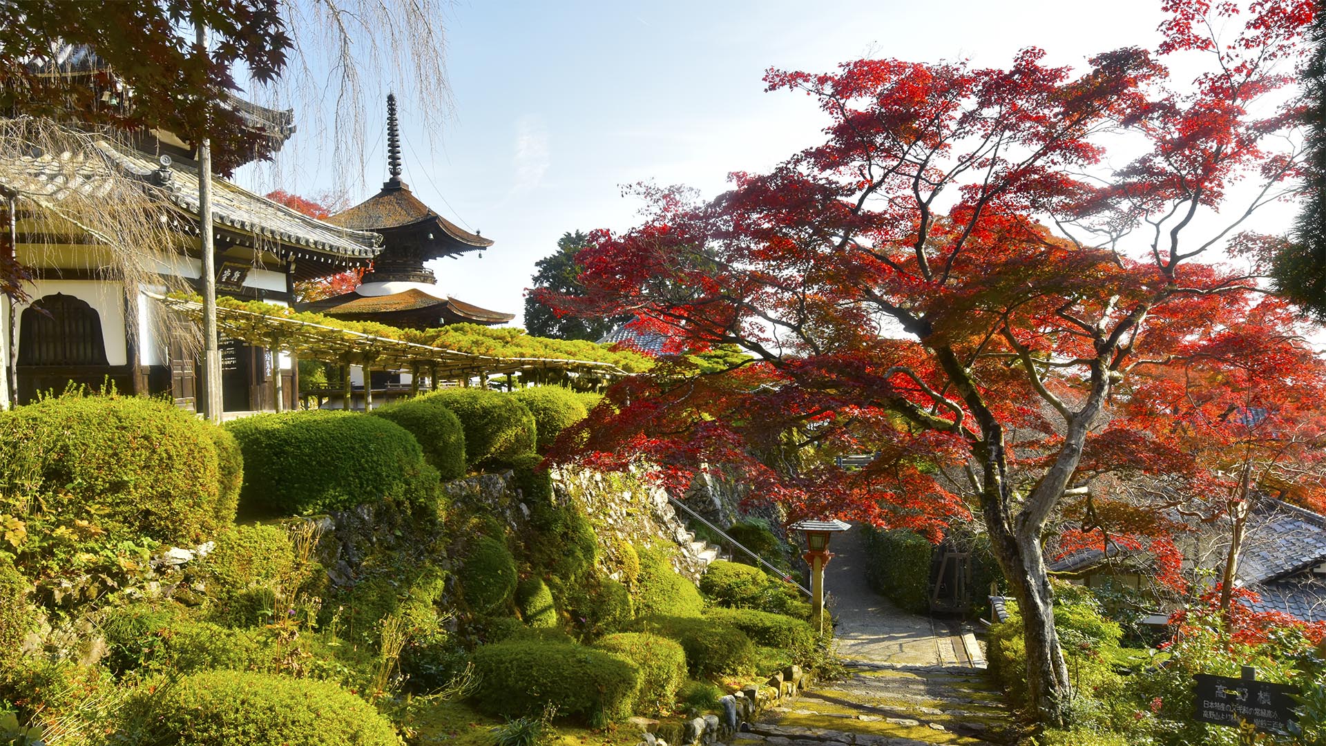 桜も紅葉も素晴らしい善峯寺＠京都西京・長岡京