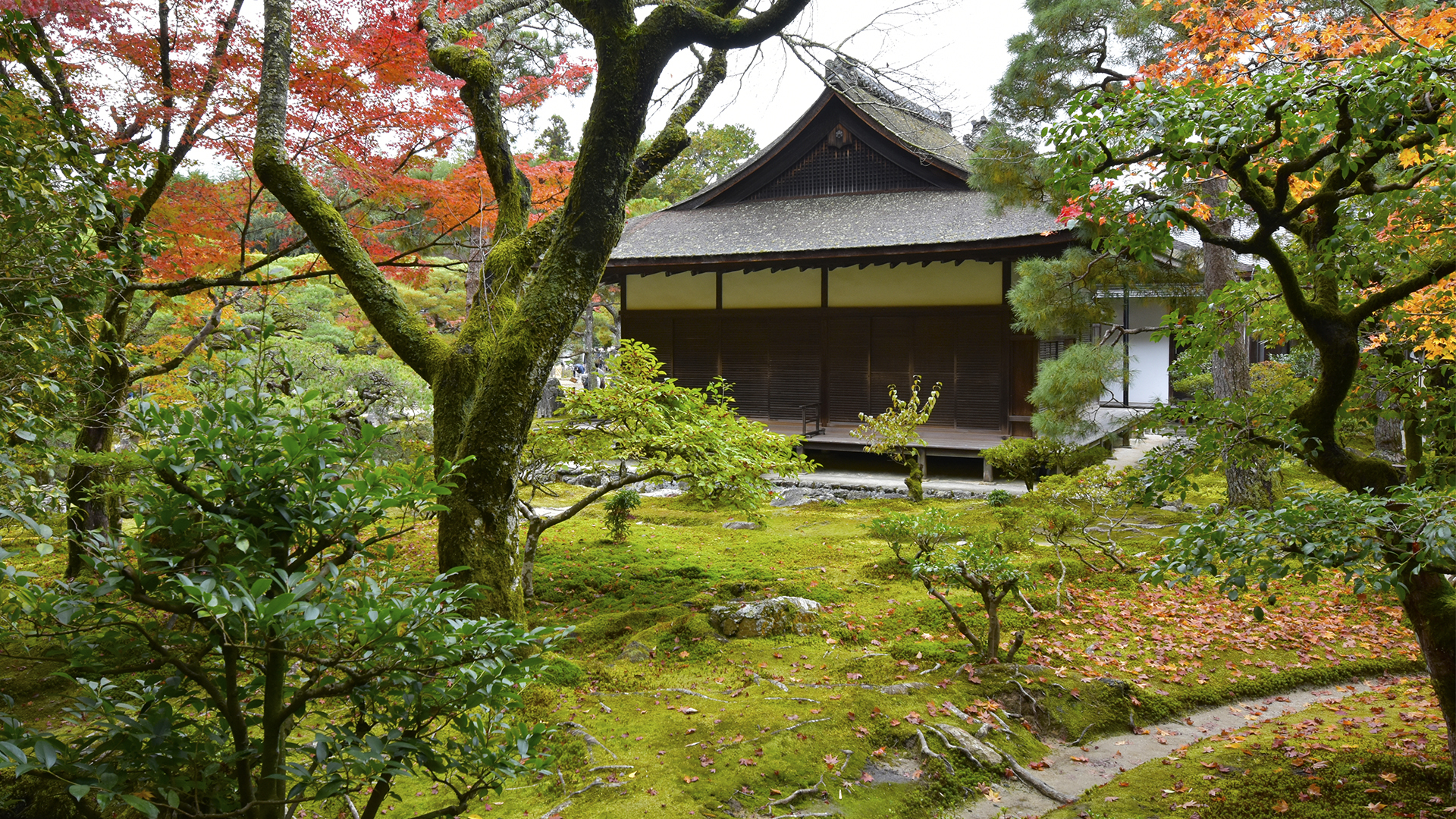 京都の紅葉といえば禅寺・東山慈照寺銀閣