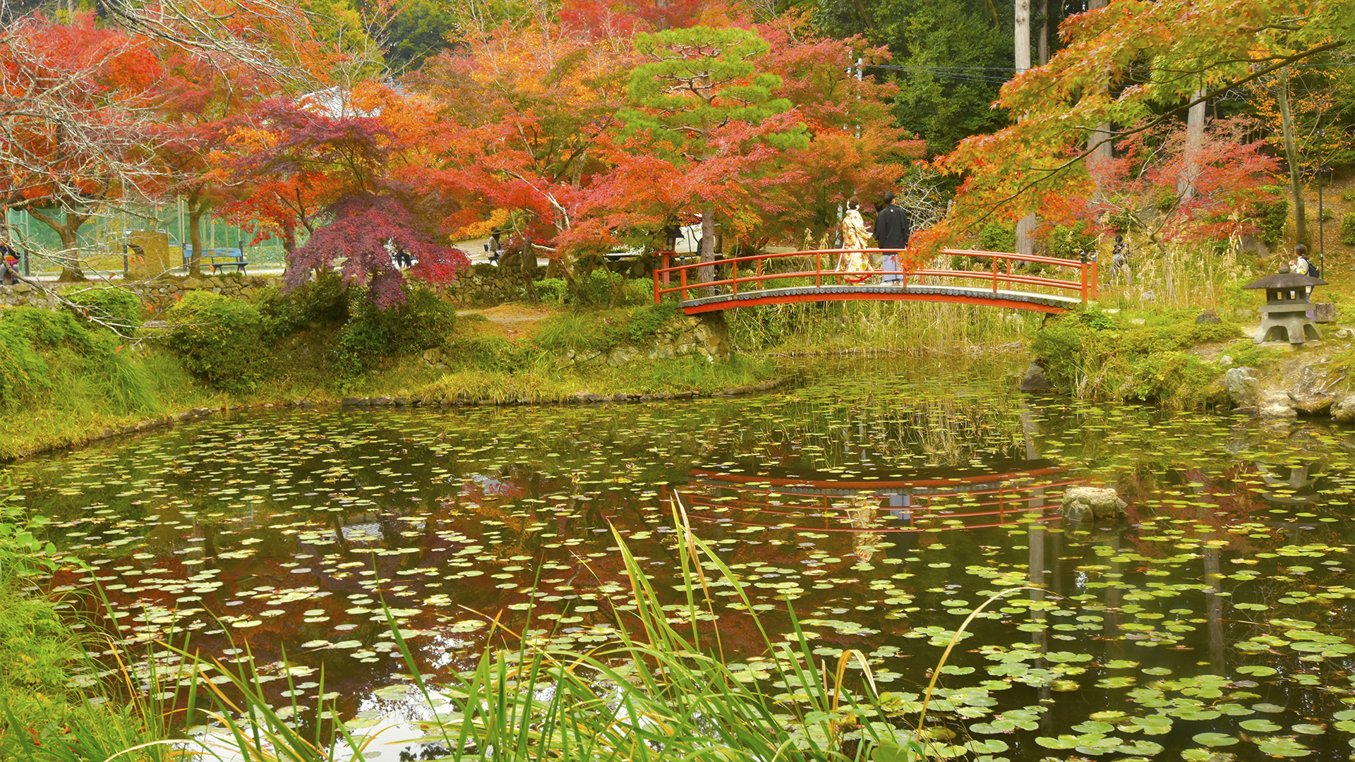 時代の流れ、京都大原野神社の紅葉