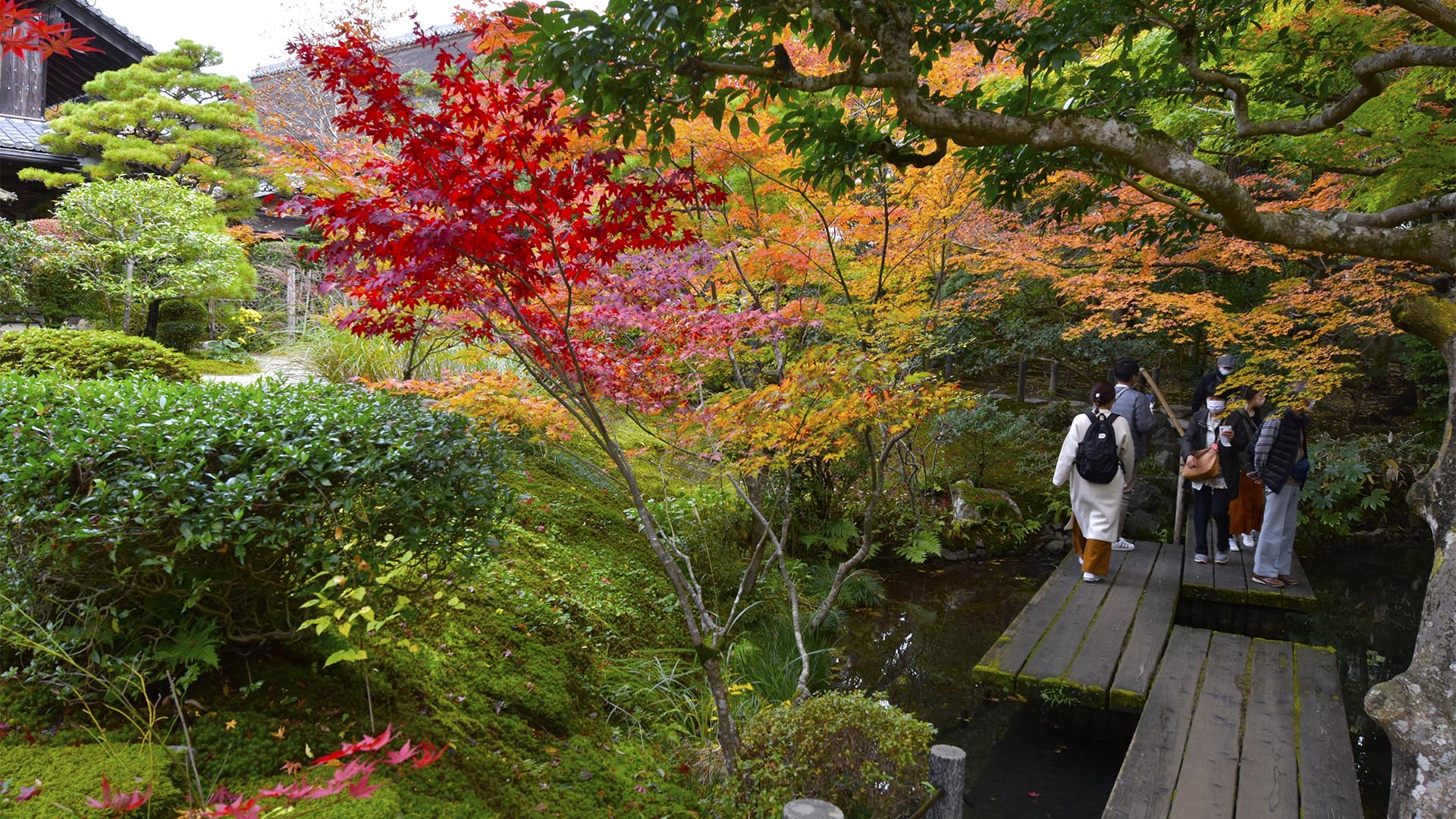 もみじするお庭さん＠京都南禅寺天授庵