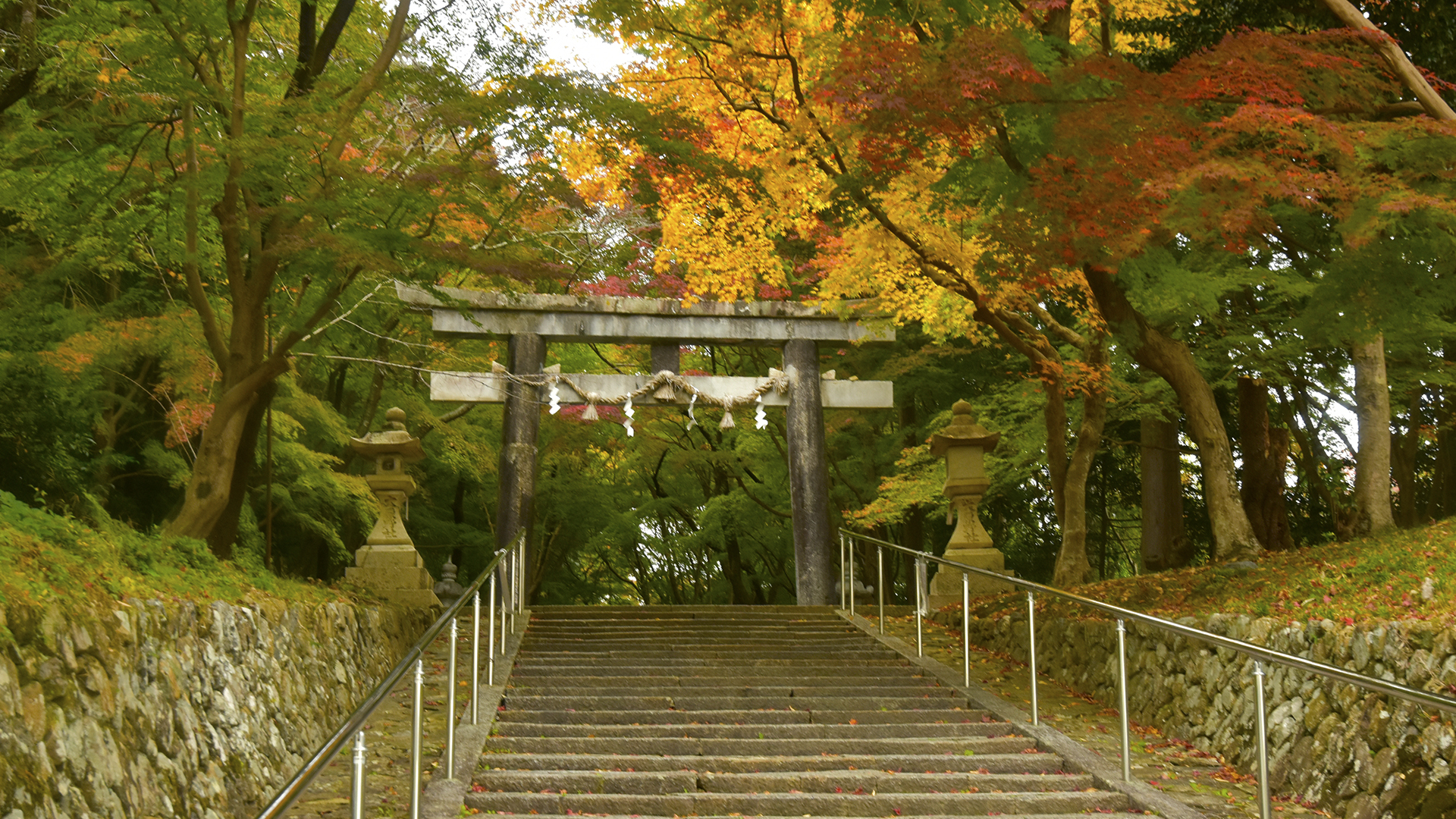 時代の流れ、京都大原野神社の紅葉