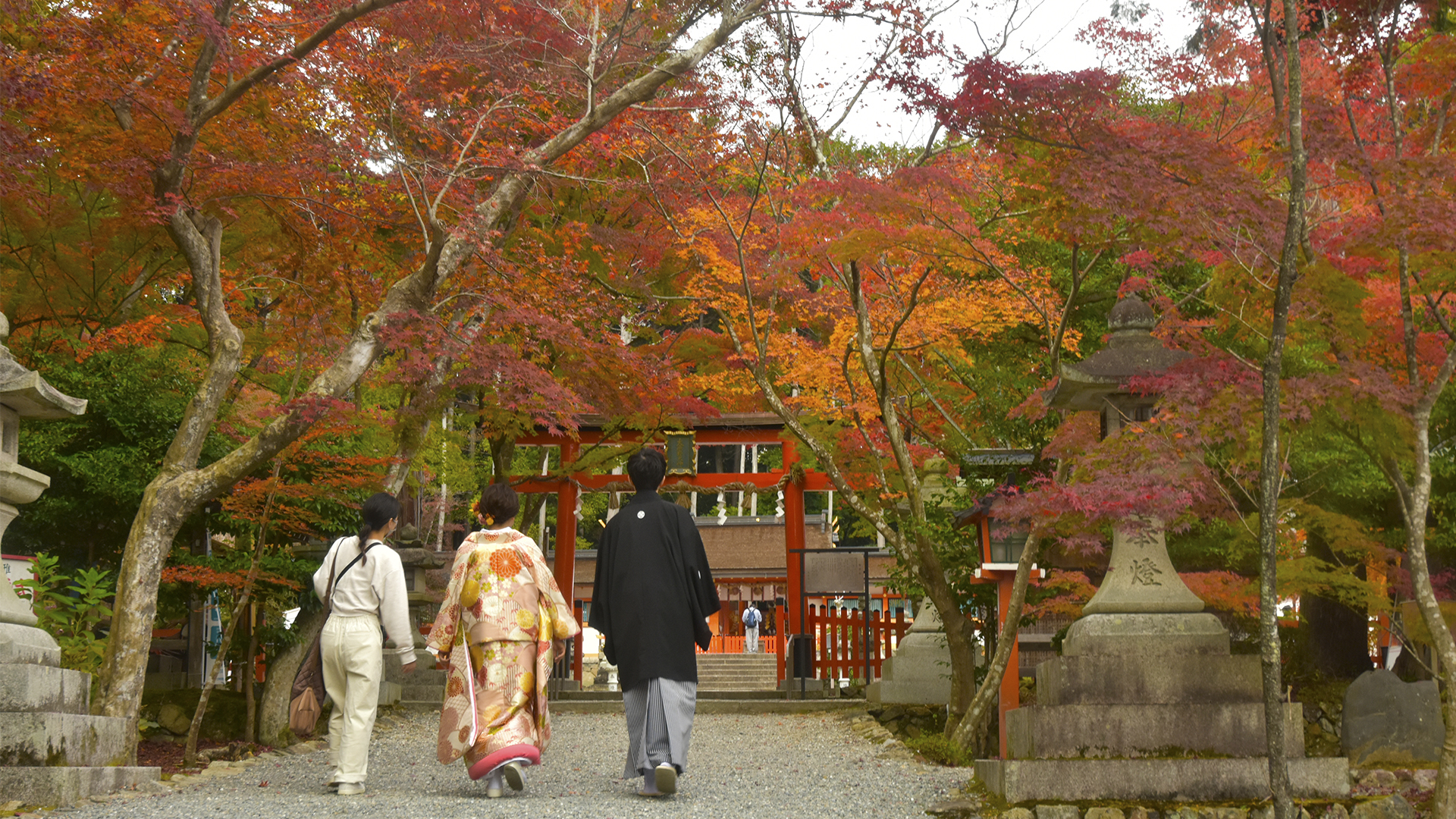 時代の流れ、京都大原野神社の紅葉