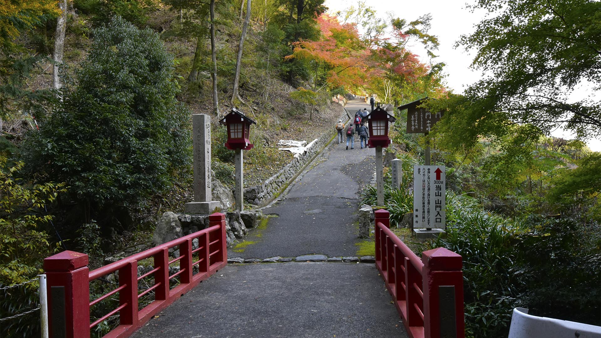 桜も紅葉も素晴らしい善峯寺＠京都西京・長岡京