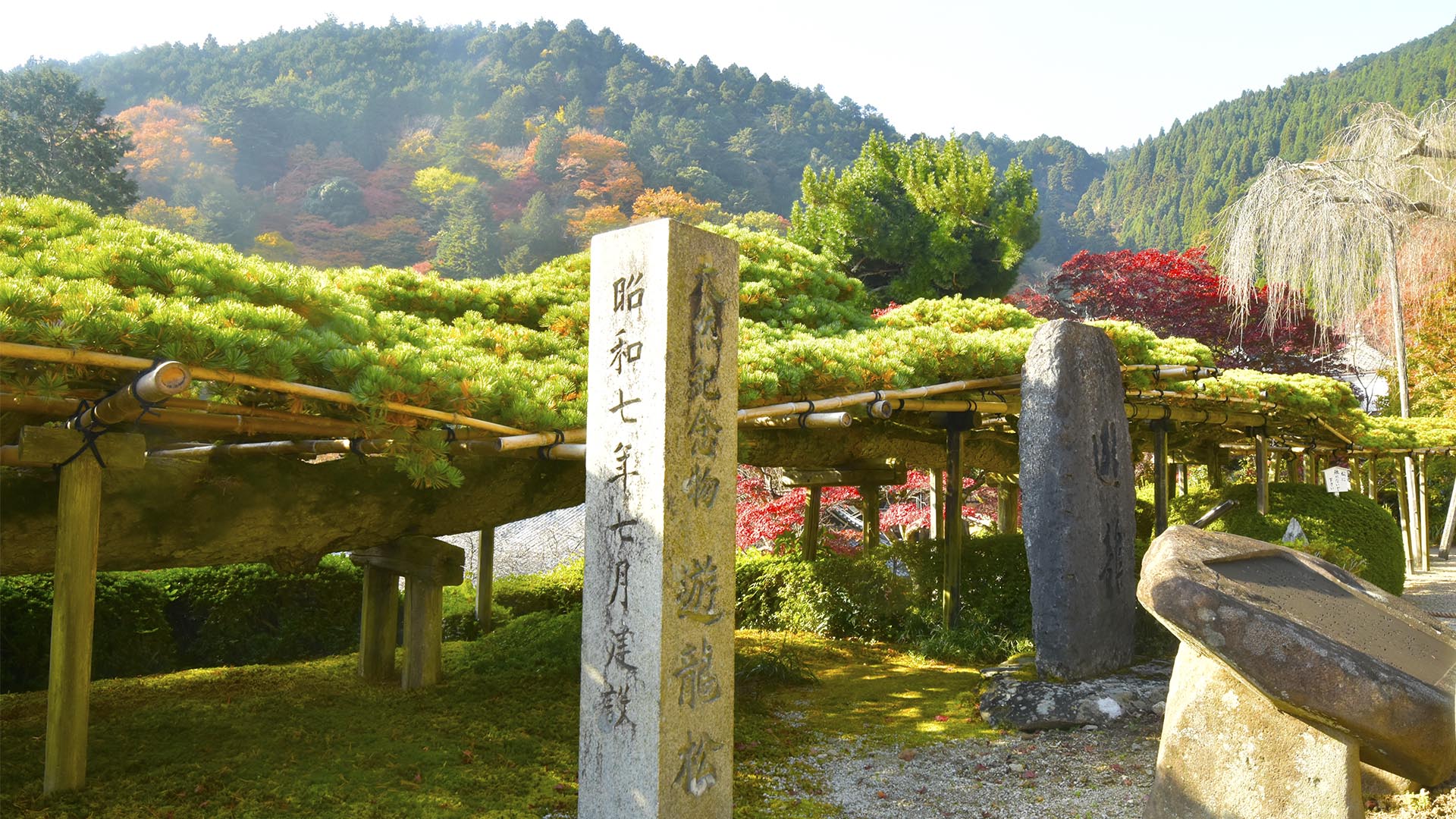 桜も紅葉も素晴らしい善峯寺＠京都西京・長岡京