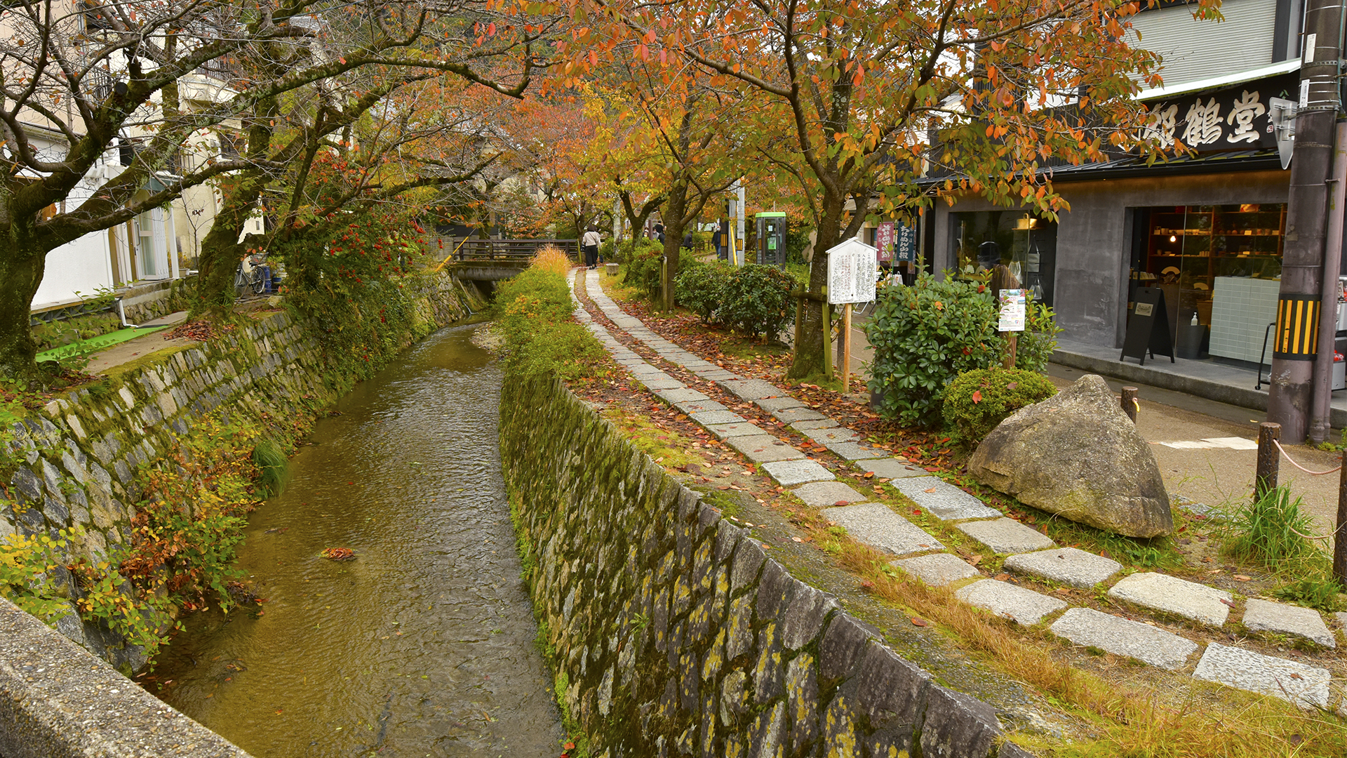 京都の紅葉といえば禅寺・東山慈照寺銀閣