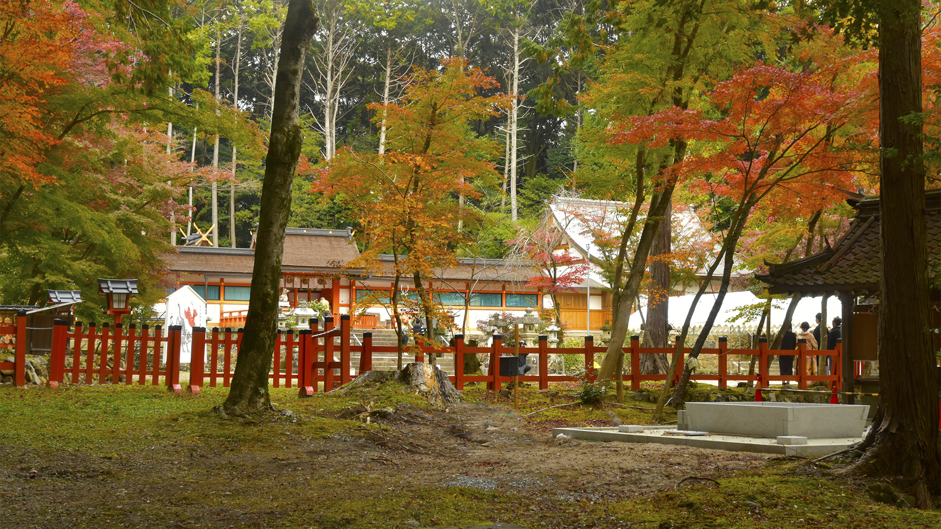 時代の流れ、京都大原野神社の紅葉