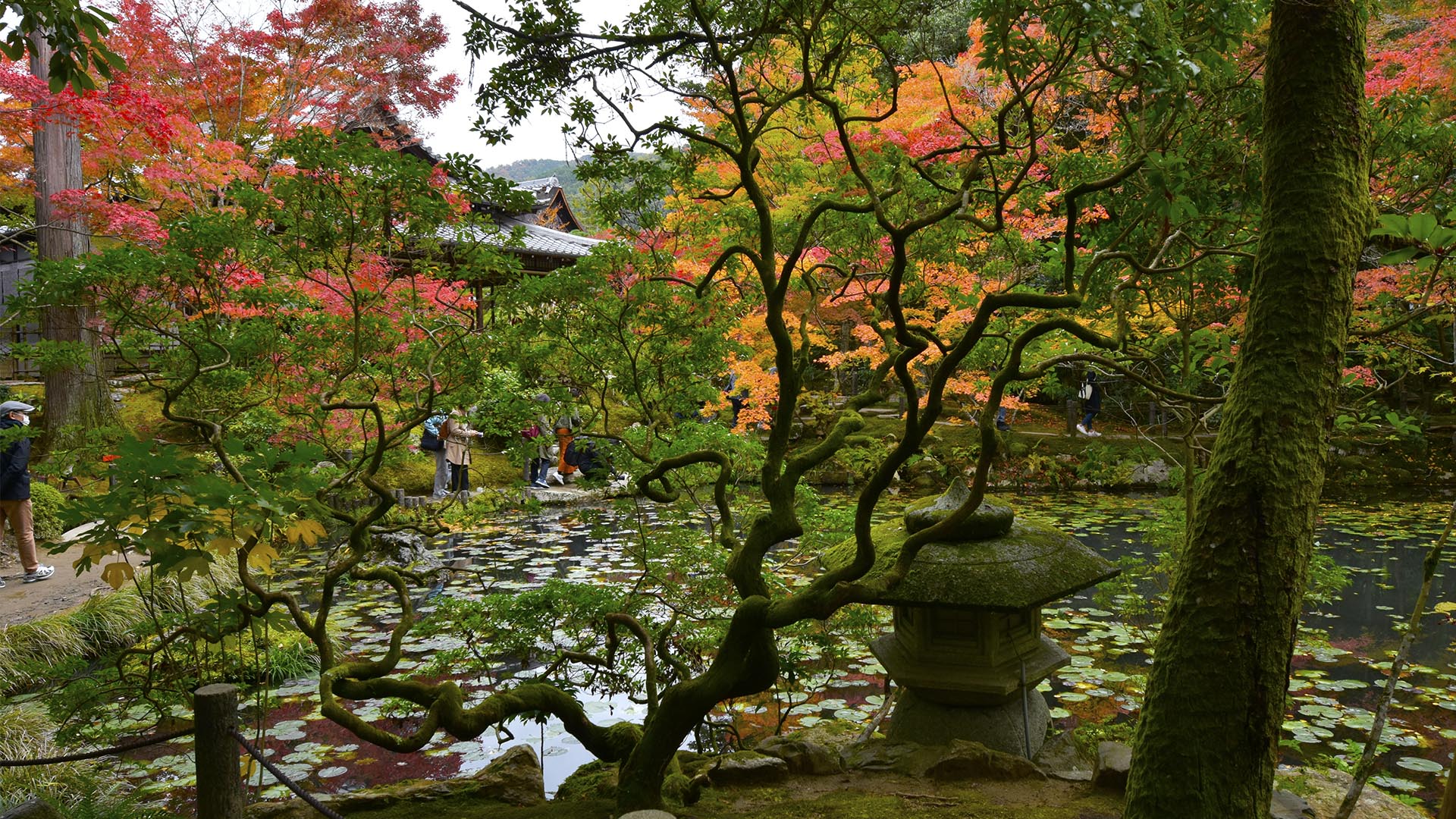 もみじするお庭さん＠京都南禅寺天授庵