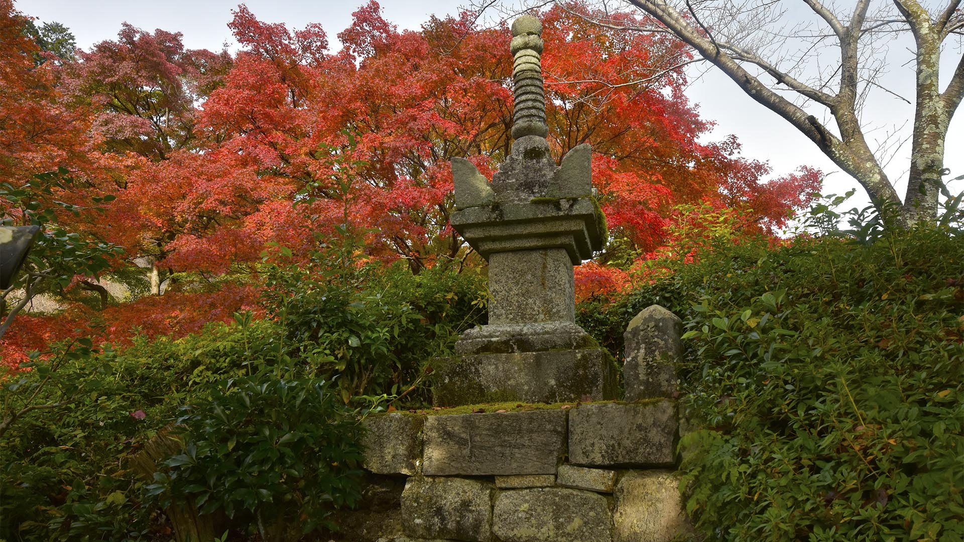 桜も紅葉も素晴らしい善峯寺＠京都西京・長岡京