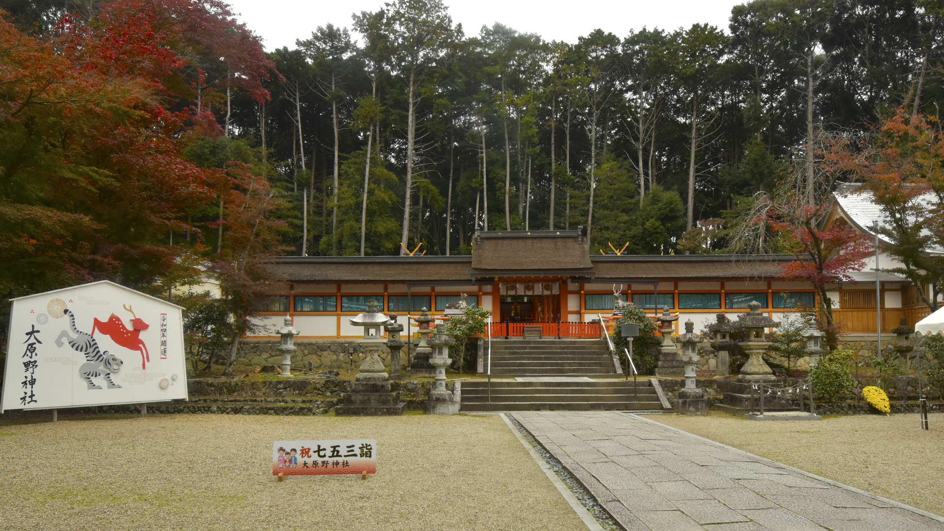 京都大原野神社の紅葉