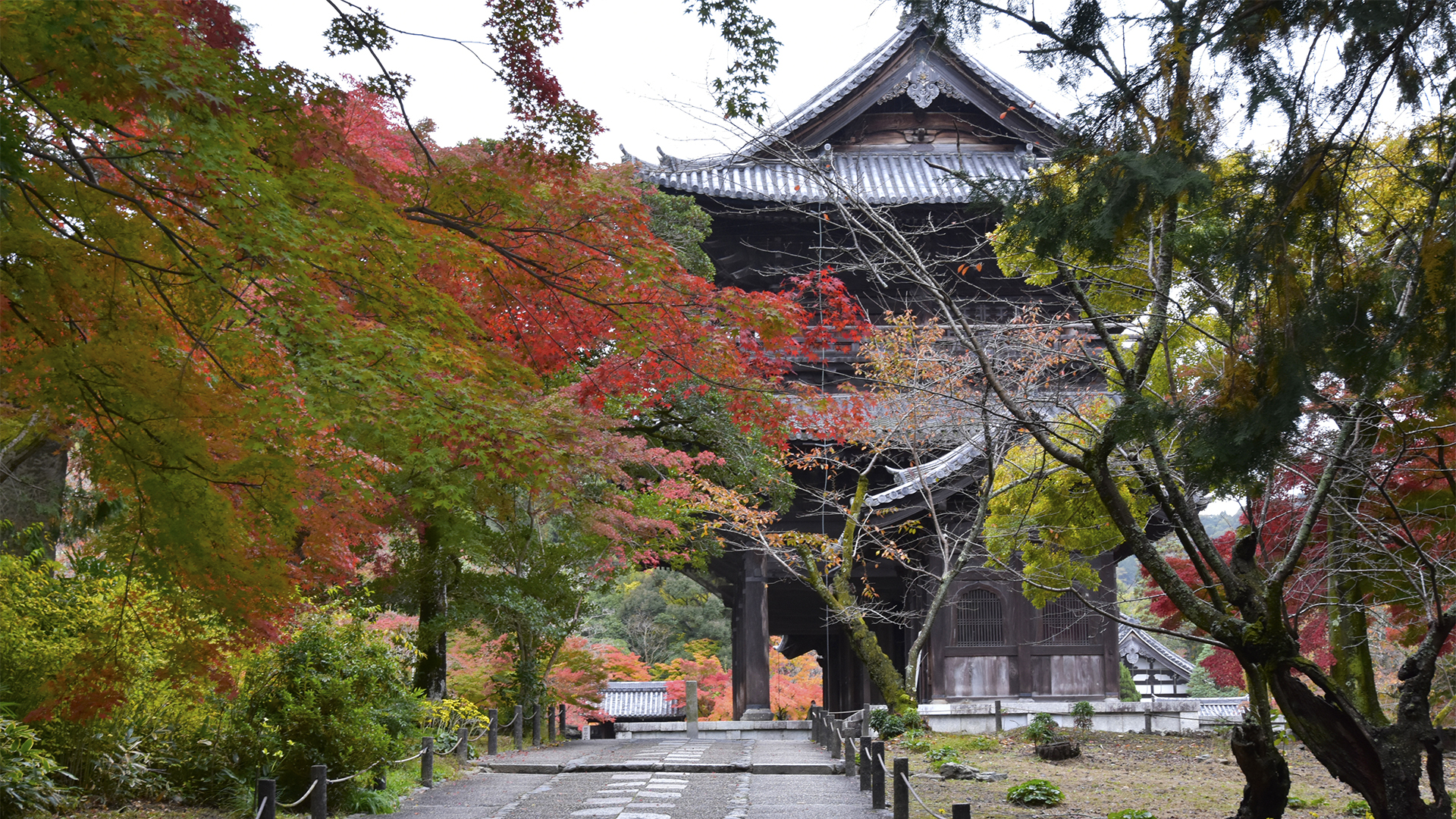 今を良かれ、良かれ　別格、京都南禅寺