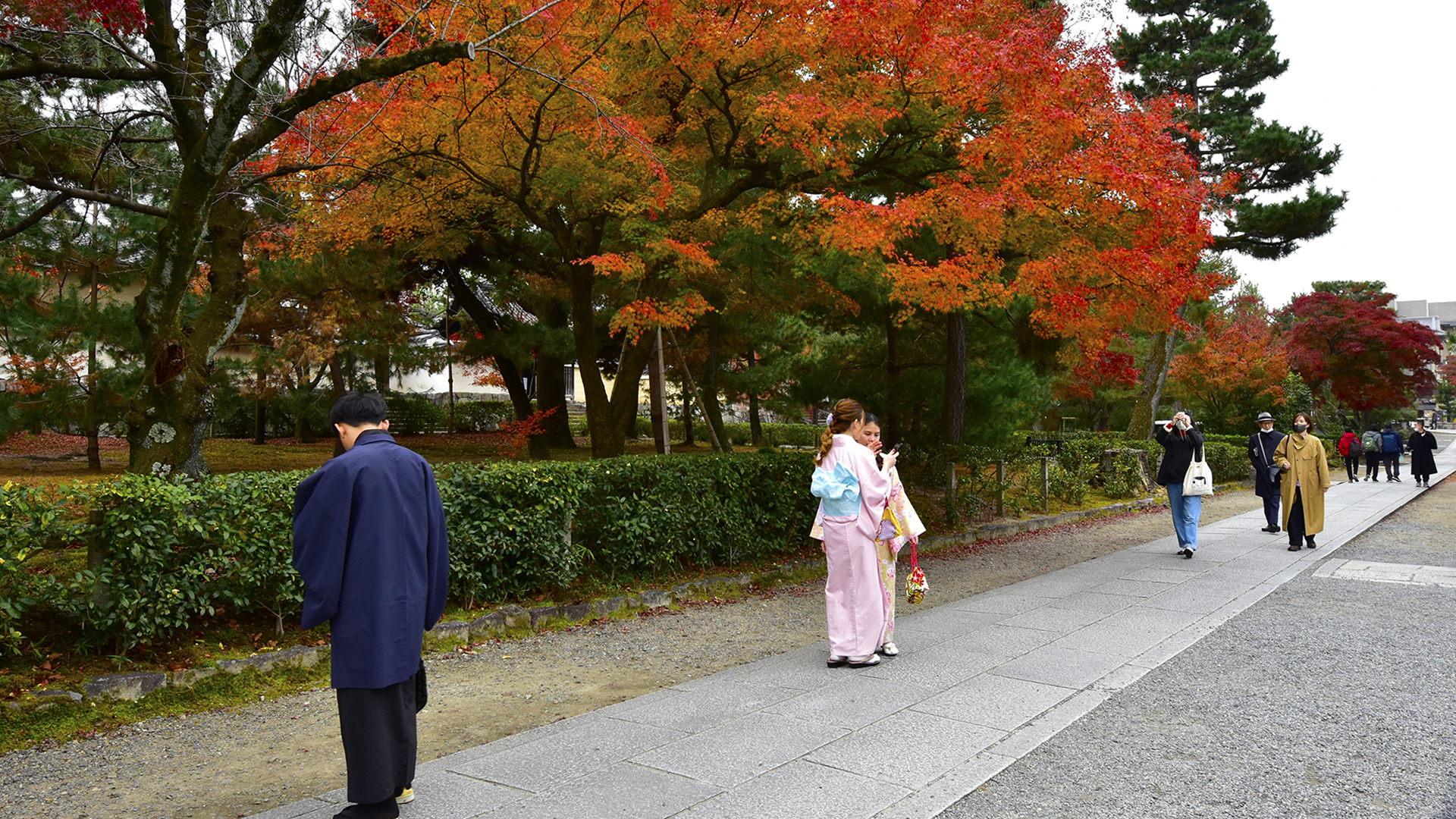 風の時代の今　風神雷神でしょ＠京都建仁寺