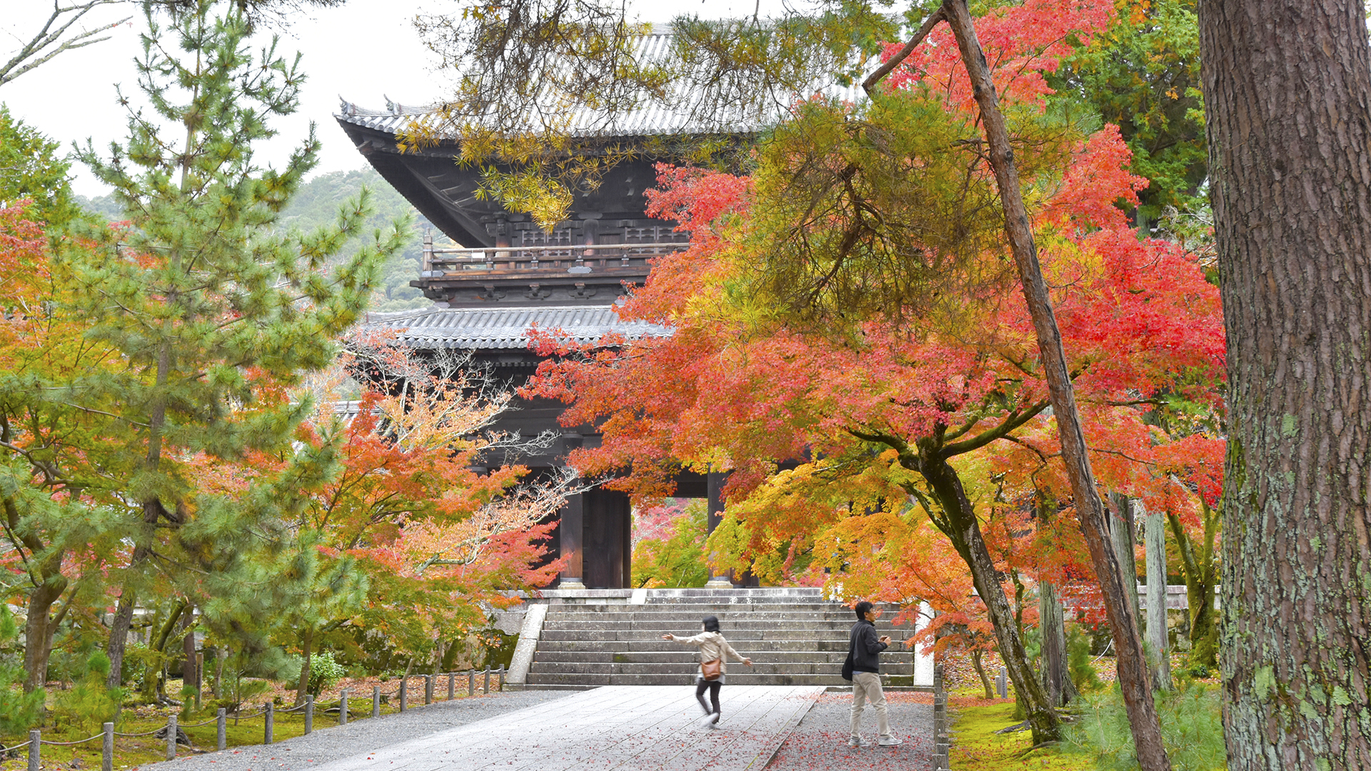 今を良かれ、良かれ　別格、京都南禅寺