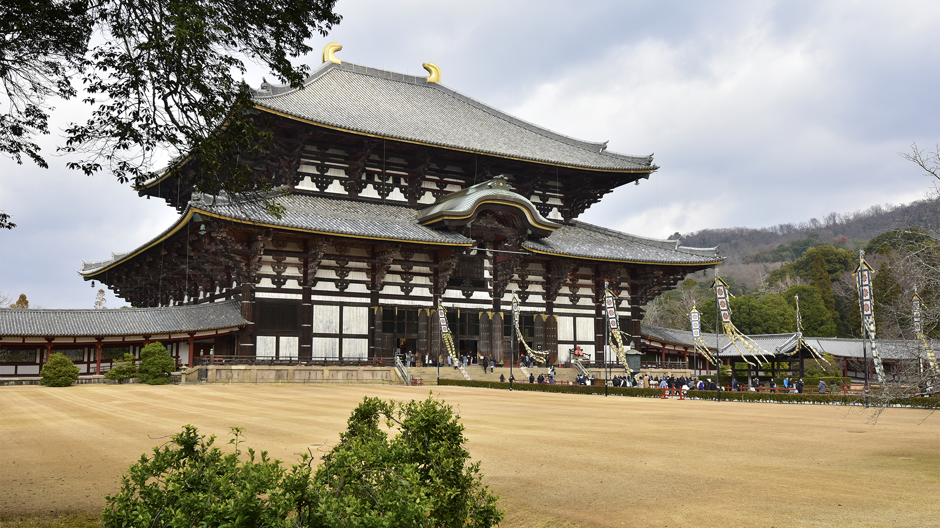 東大寺大仏殿　〒630-8587 奈良県奈良市雑司町