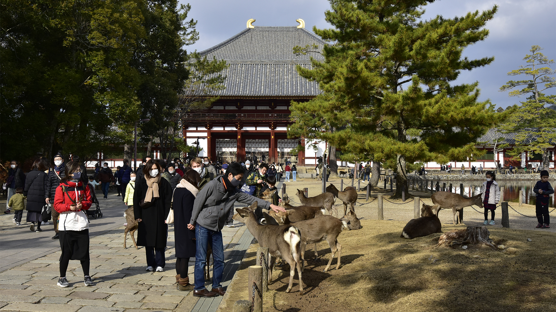 世界最大　東大寺大仏殿