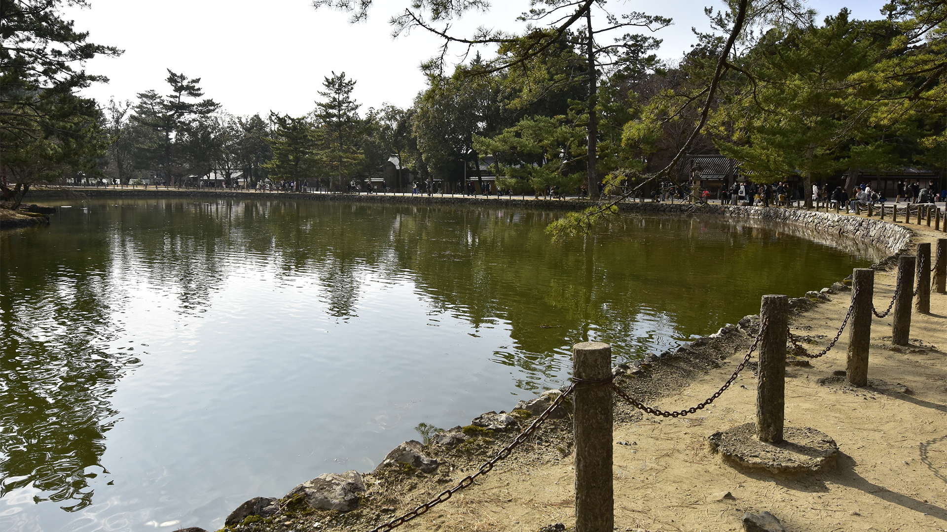 東大寺鏡池