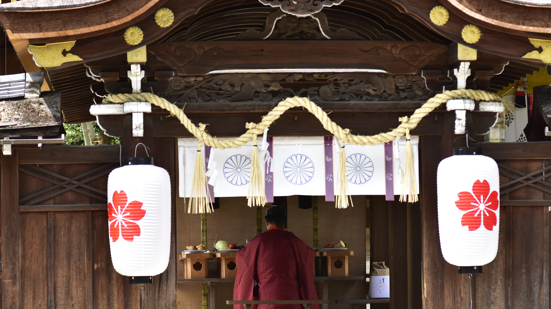 サクラのお宮さん京都平野神社