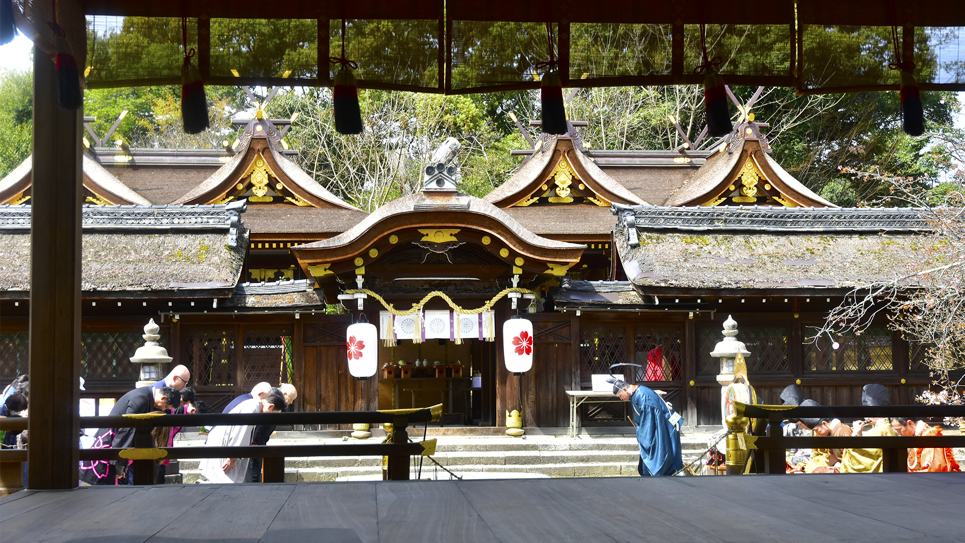 サクラのお宮さん京都平野神社