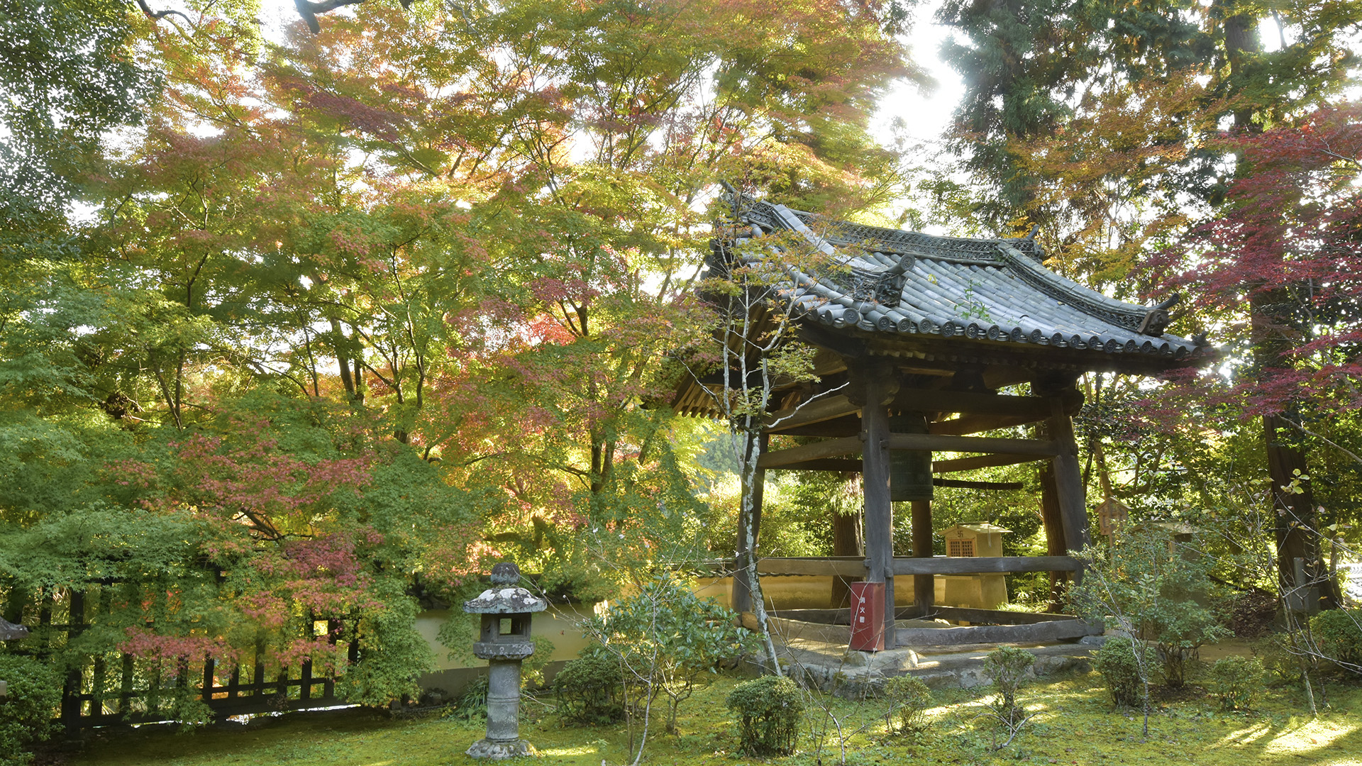 ちはやふる　神代もきかず　竜田川　からくれなゐに　水くくるとは