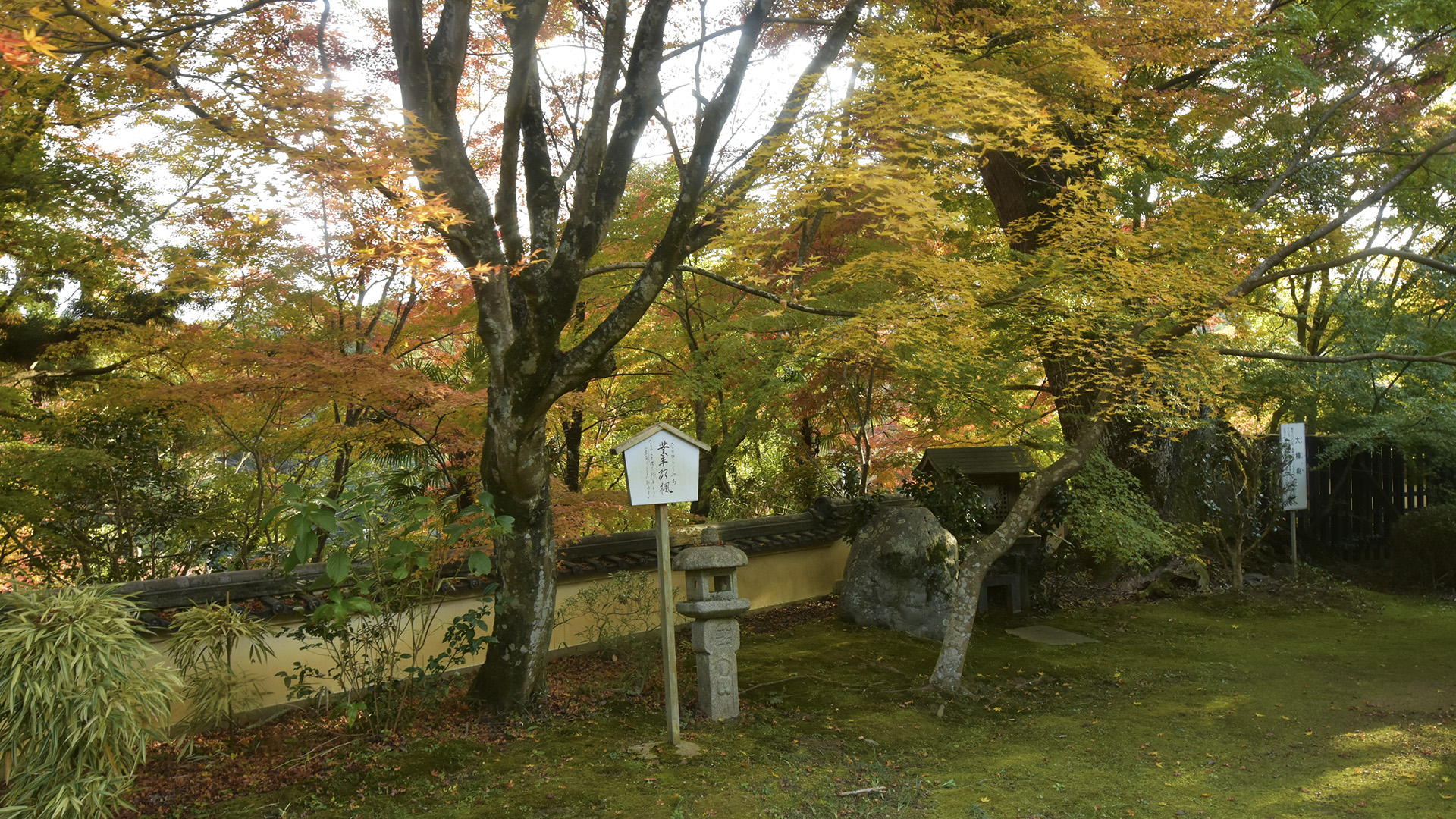 ちはやふる　神代もきかず　竜田川　からくれなゐに　水くくるとは