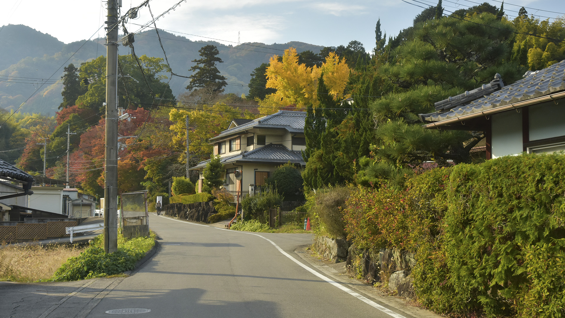 ちはやふる　神代もきかず　竜田川　からくれなゐに　水くくるとは