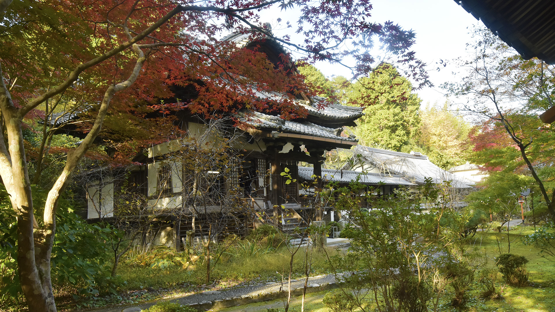 ちはやふる　神代もきかず　竜田川　からくれなゐに　水くくるとは