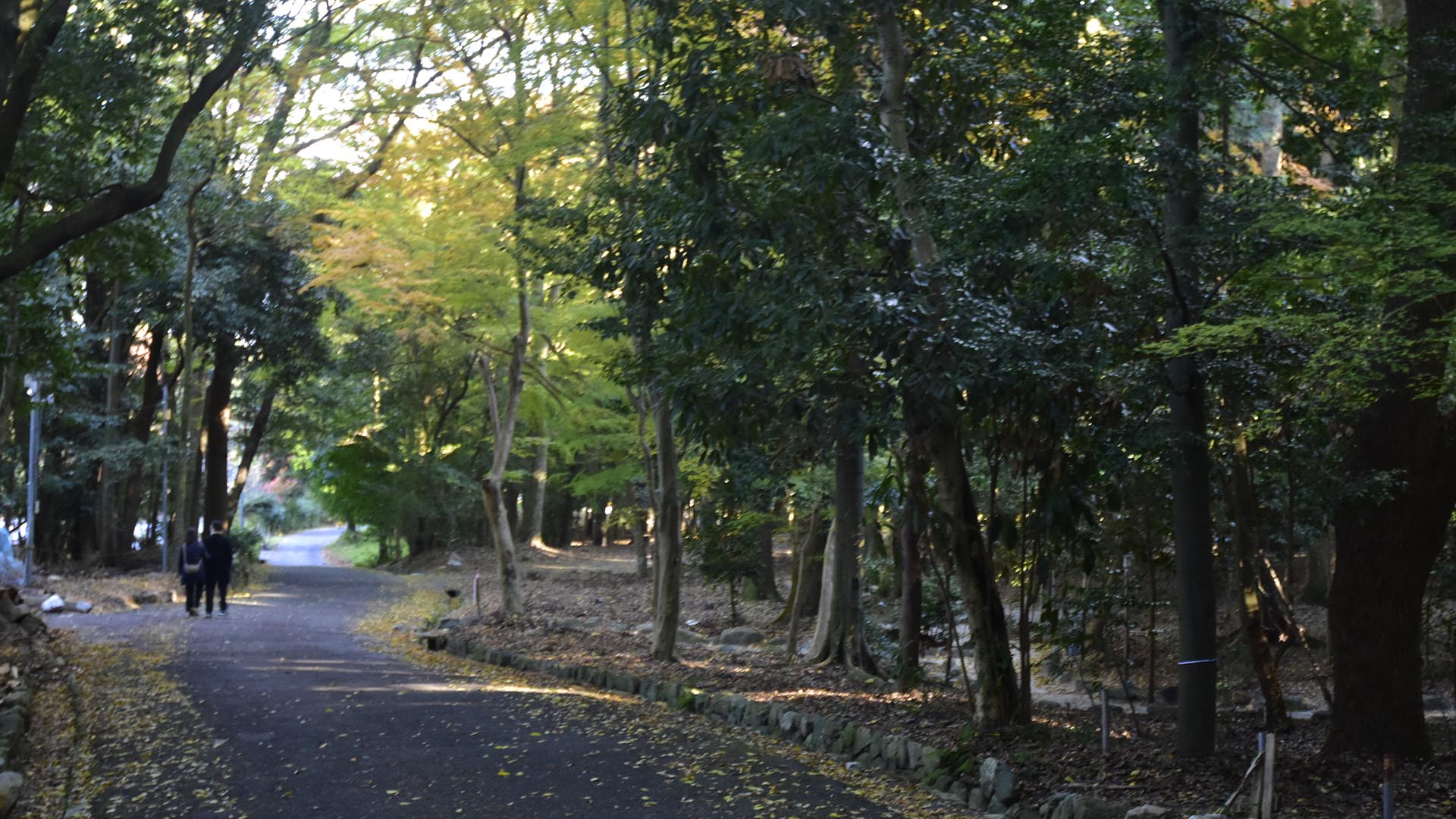 ちはやふる近江神宮さん