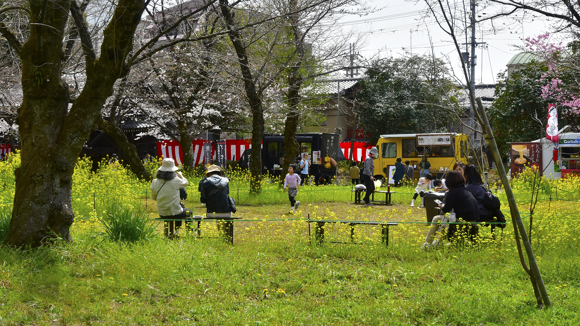 京都のお花見といえば＠Nippon Kyoto Hanami