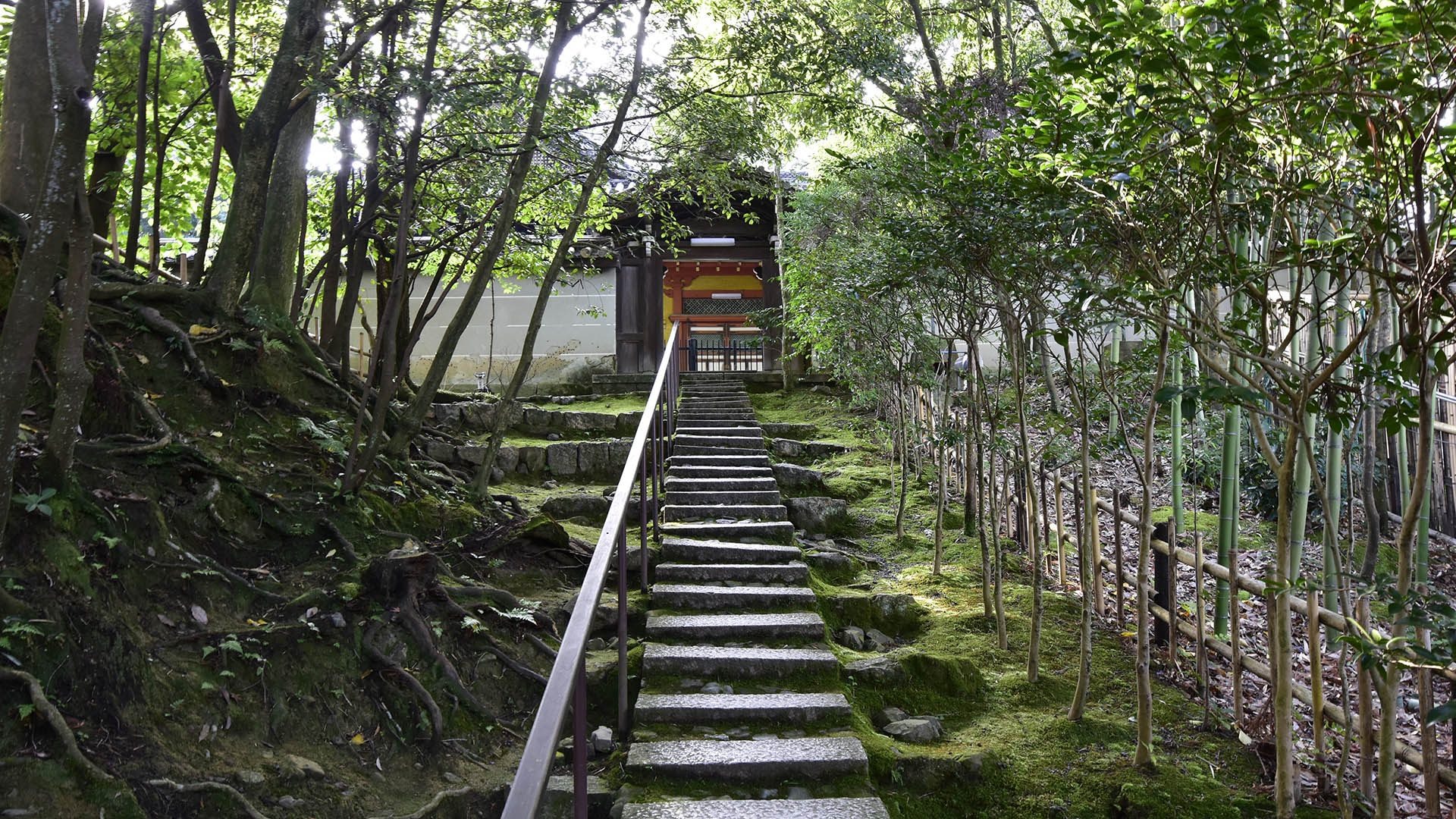 金地院東照宮、隠れた京の名所