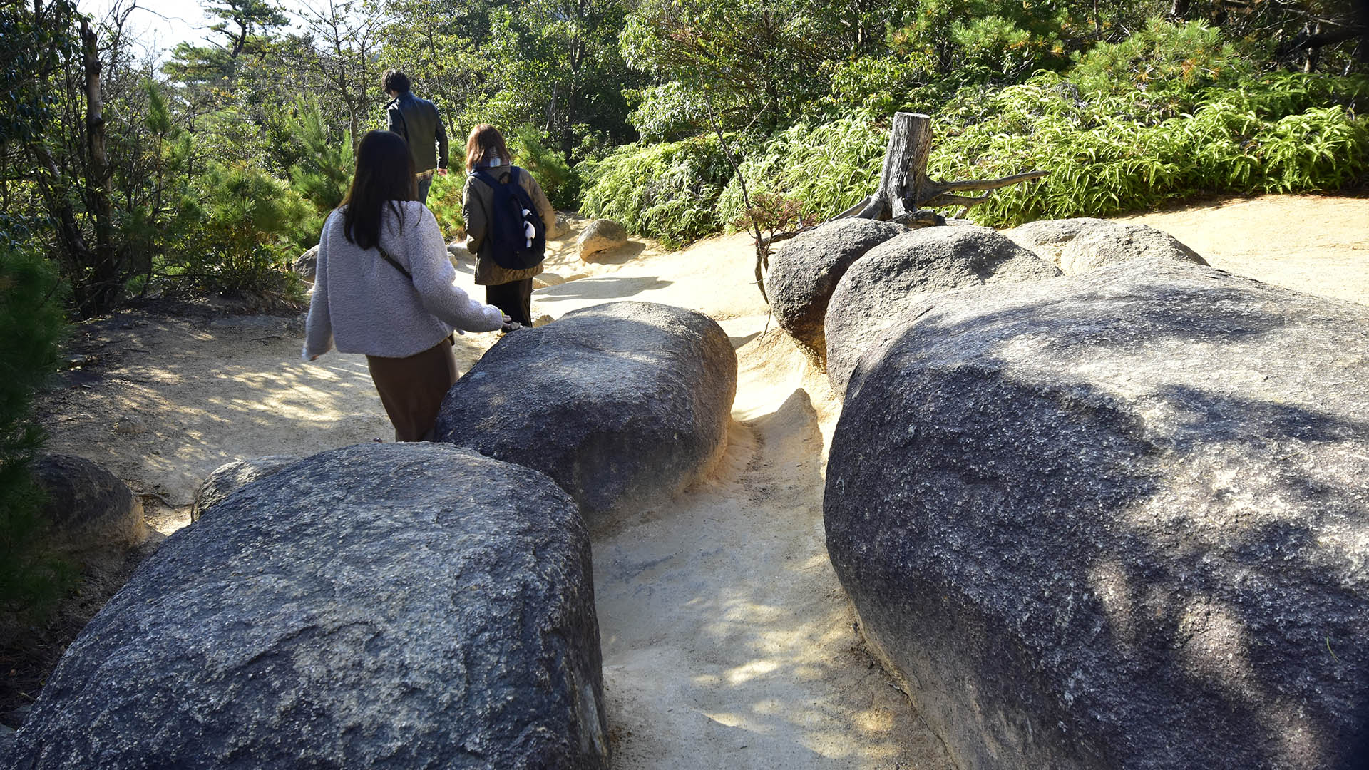 世界遺産嚴島神社の背後にそびえるご神体・弥山