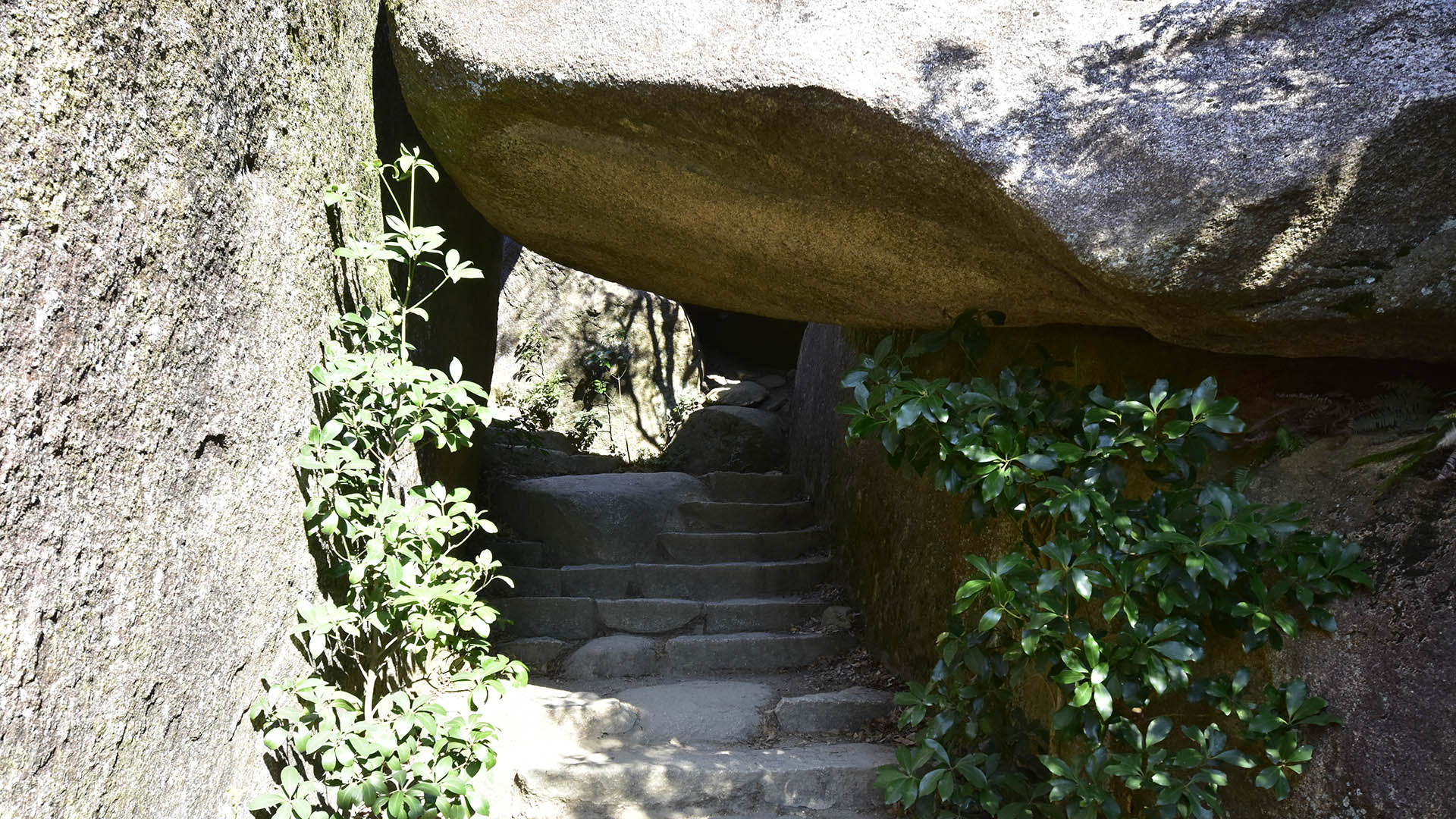 世界遺産嚴島神社の背後にそびえるご神体・弥山