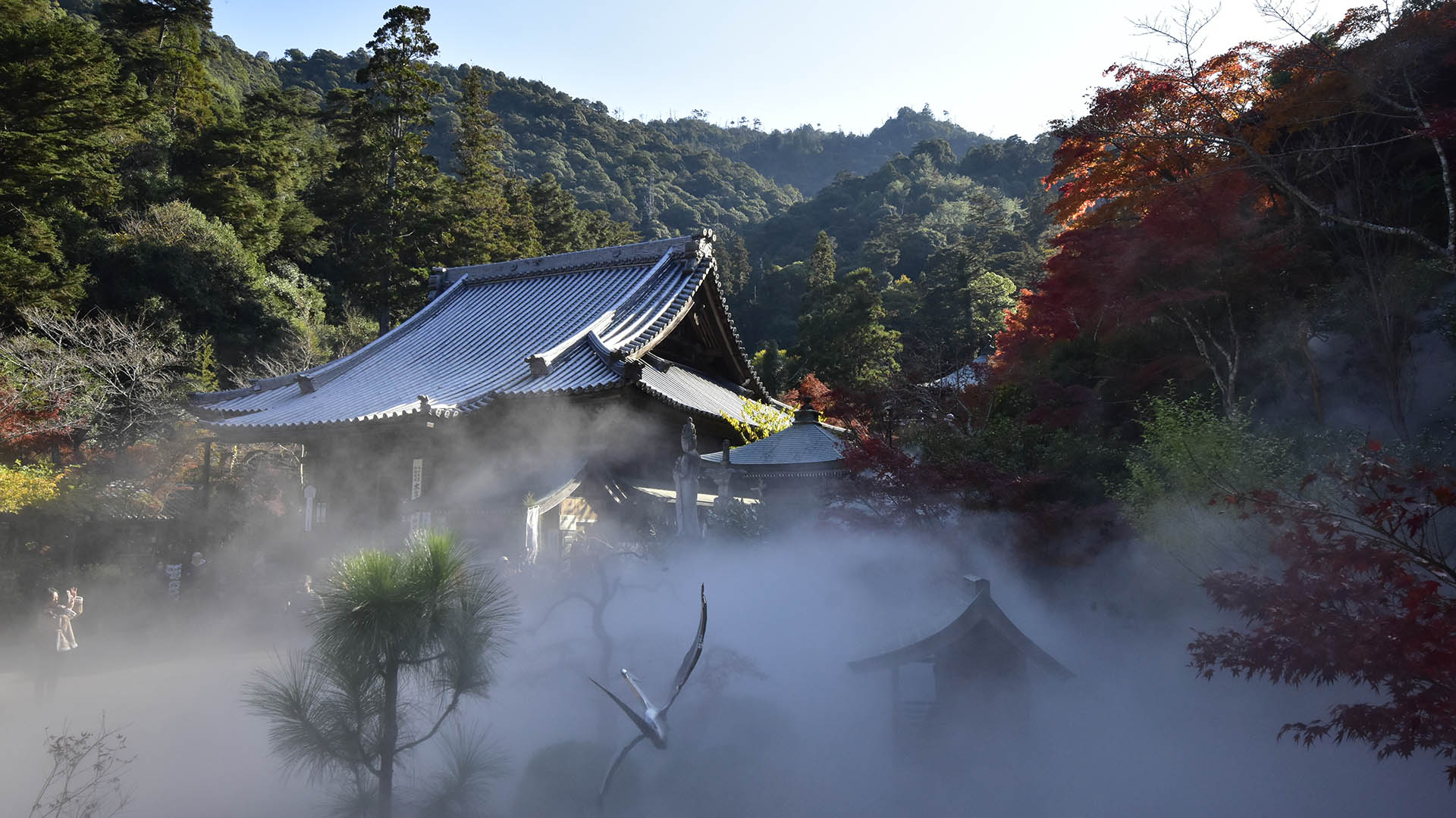 宮島弥山 大本山大聖院