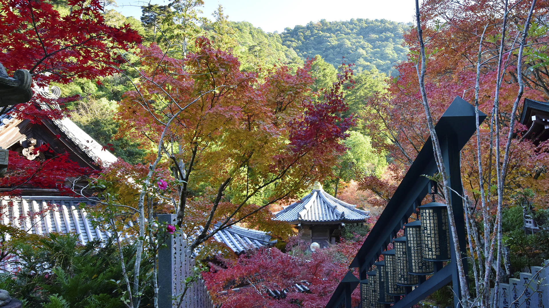 宮島弥山 大本山大聖院