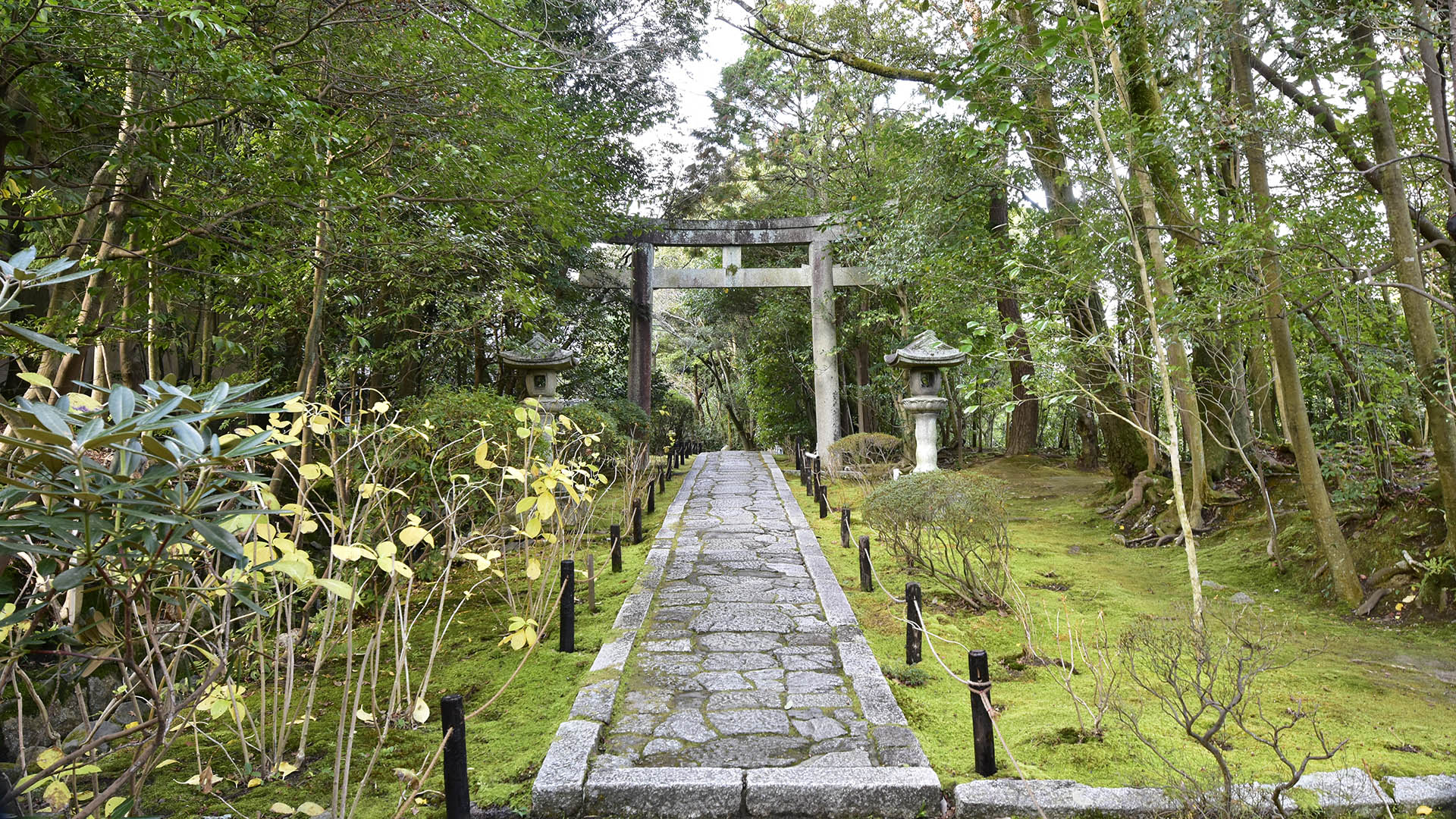 金地院東照宮、隠れた京の名所